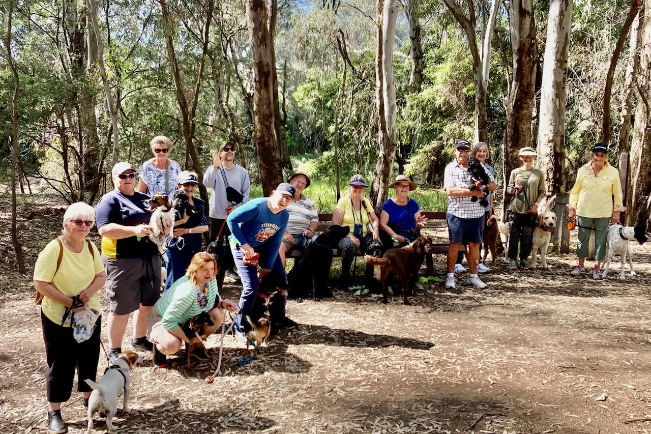 <p>A PAWFECT DAY OUT: Happy dogs and their owners were all smiles on the Wangaratta Kennel & Obedience Dog Club  monthly \\'Happy Dogs Walk\\' along the Ovens River.</p>\\n