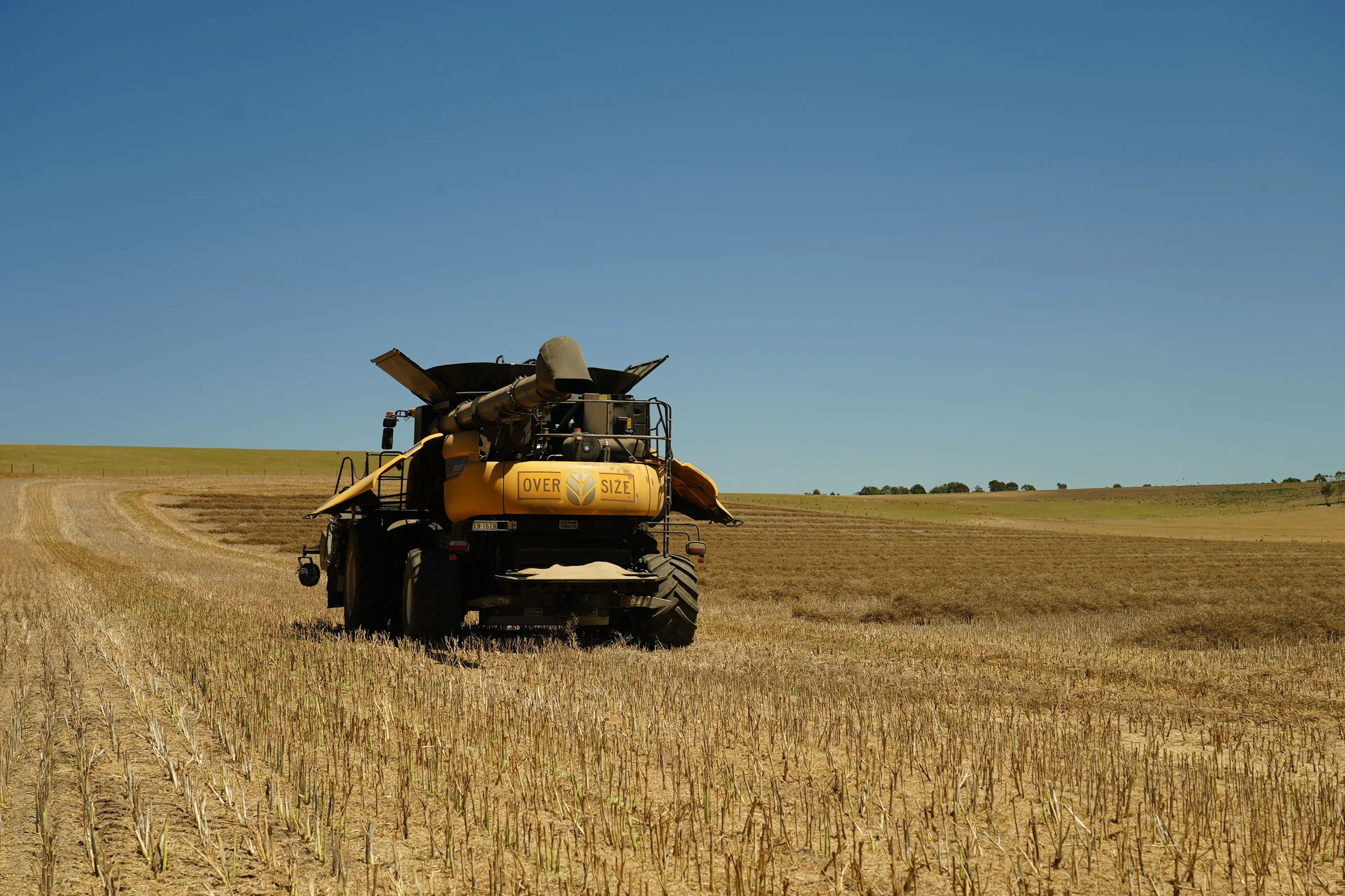 Harvester in paddock next to stubble
