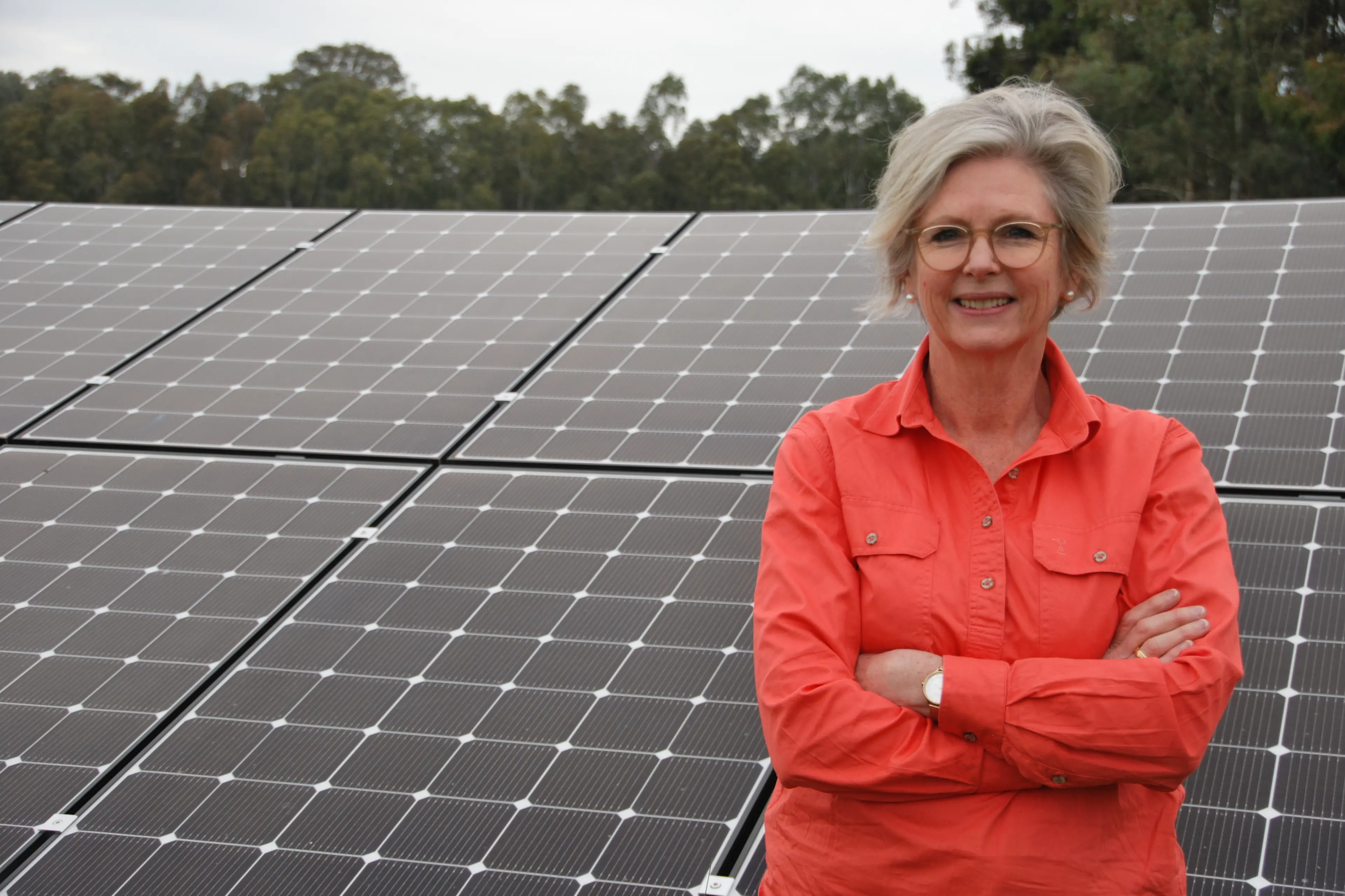 <p>AGAINST IT: Helen Haines believes a new bill to repeal net zero would wipe out almost $10 billion in projected payments to farmers, strip $1.9 billion from community benefit programs for regional councils and undermine thousands of jobs expected from renewable projects.</p>\\n