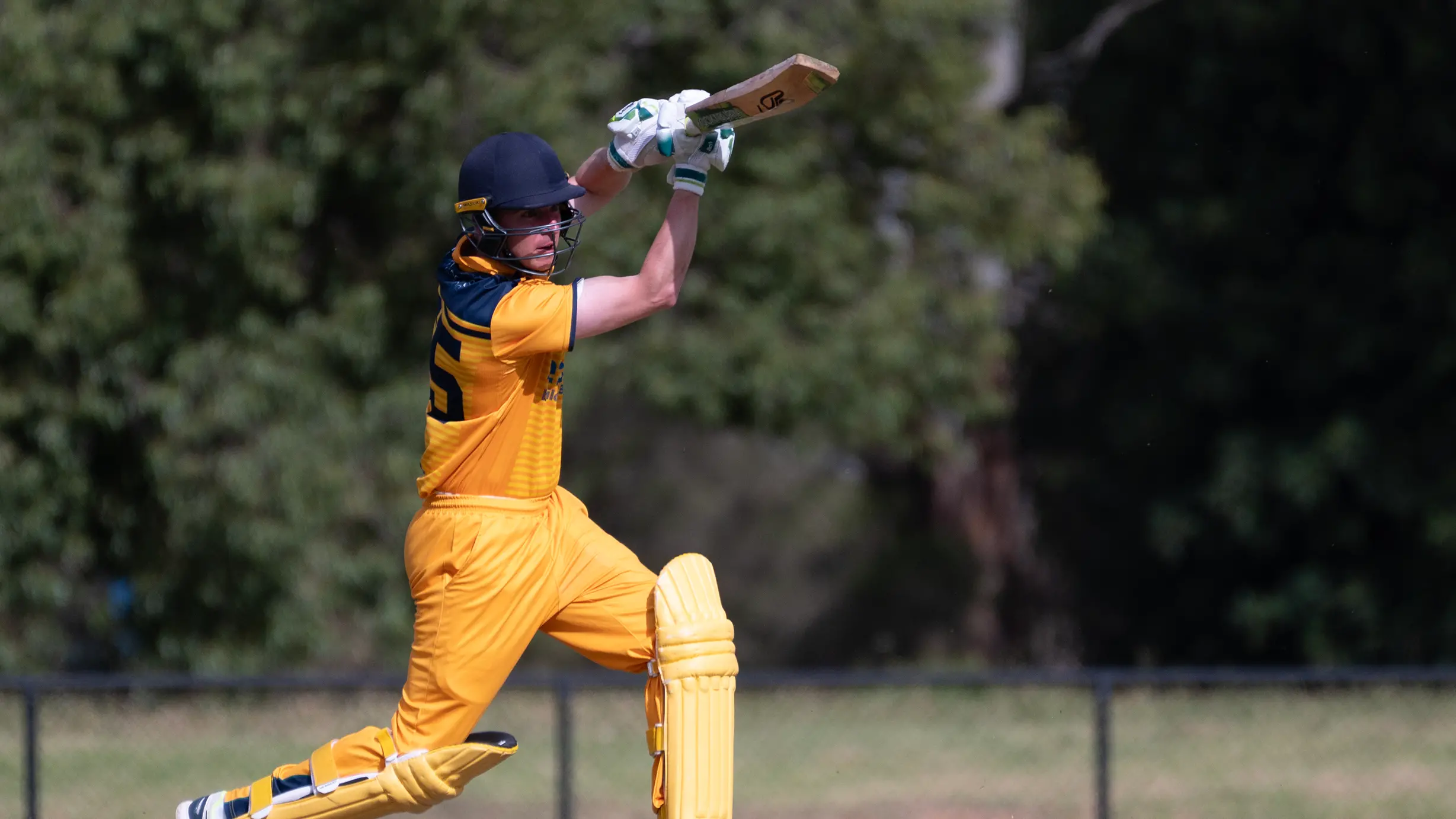 Hawks gunning for T20 excellence