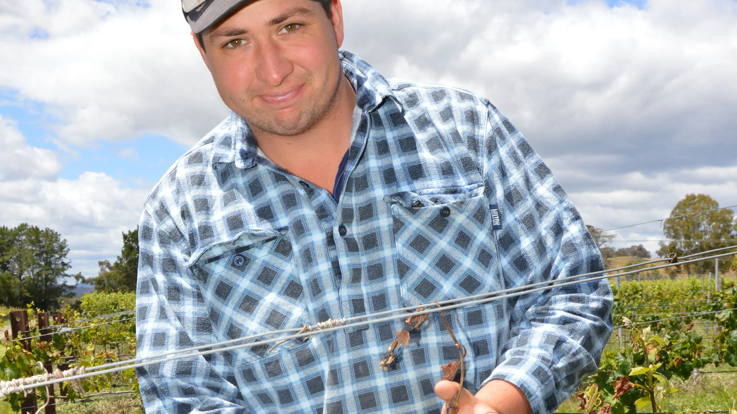 Late spring frost presents another challenge for grapegrowers