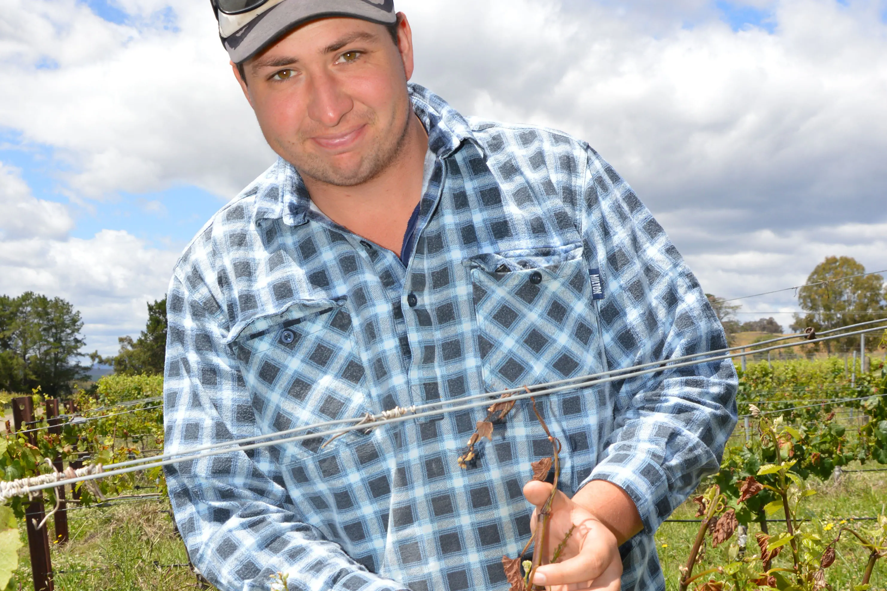 <p>CLOSER INSPECTION: La Cantina King Valley\\'s Reuben Corsini looks at some of the frost affected vines in the family\\'s King Valley vineyard. PHOTO: Anita McPherson</p>\\n