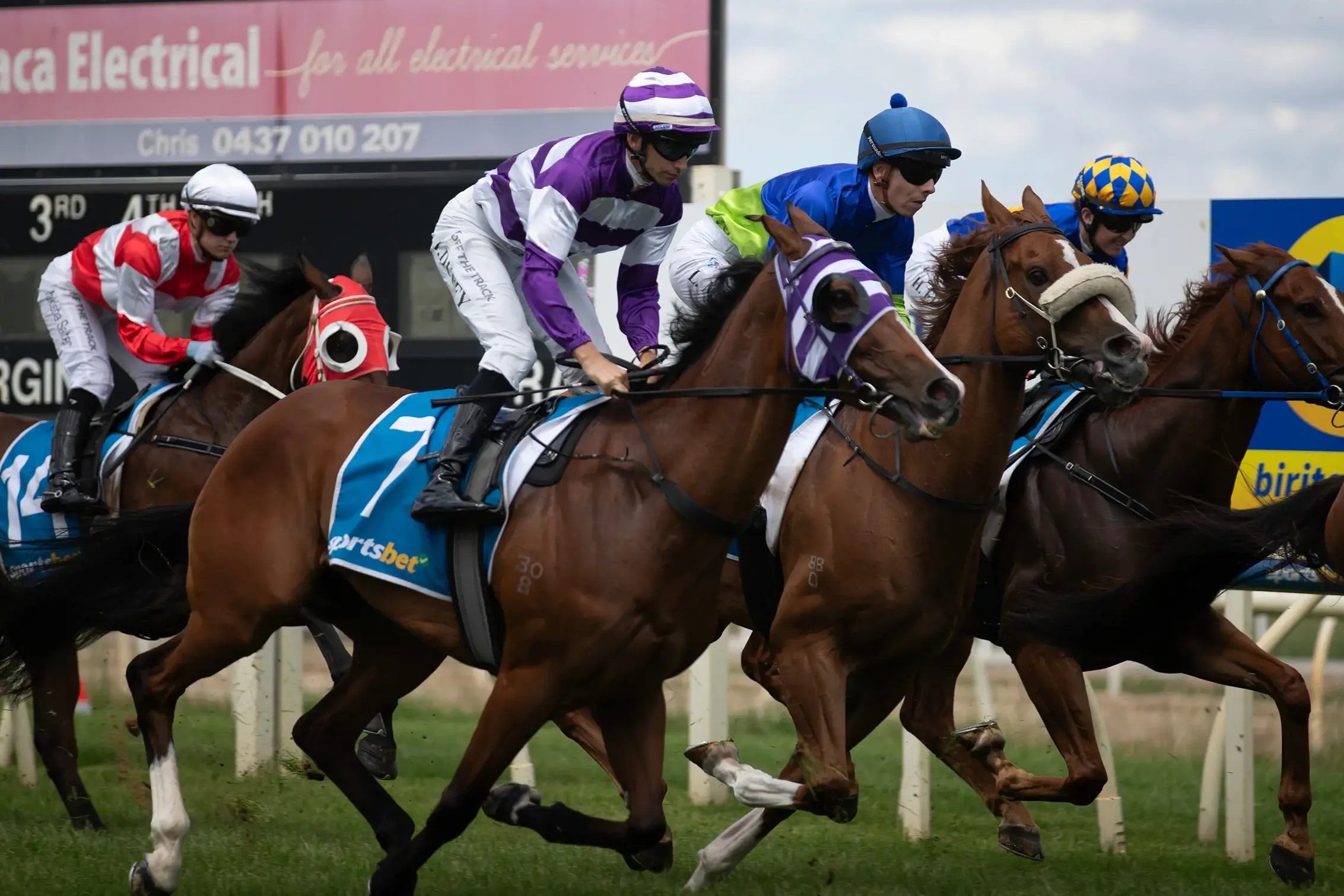 Festive racing action set for Wangaratta Turf Club on Saturday