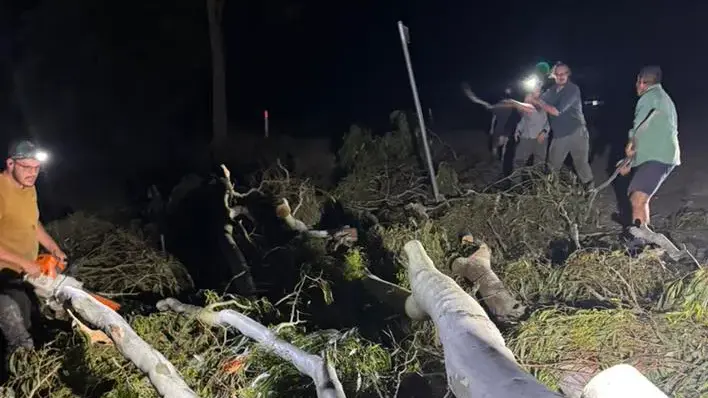 Wind fells trees, closed roads at Laceby, Glenrowan, Cheshunt