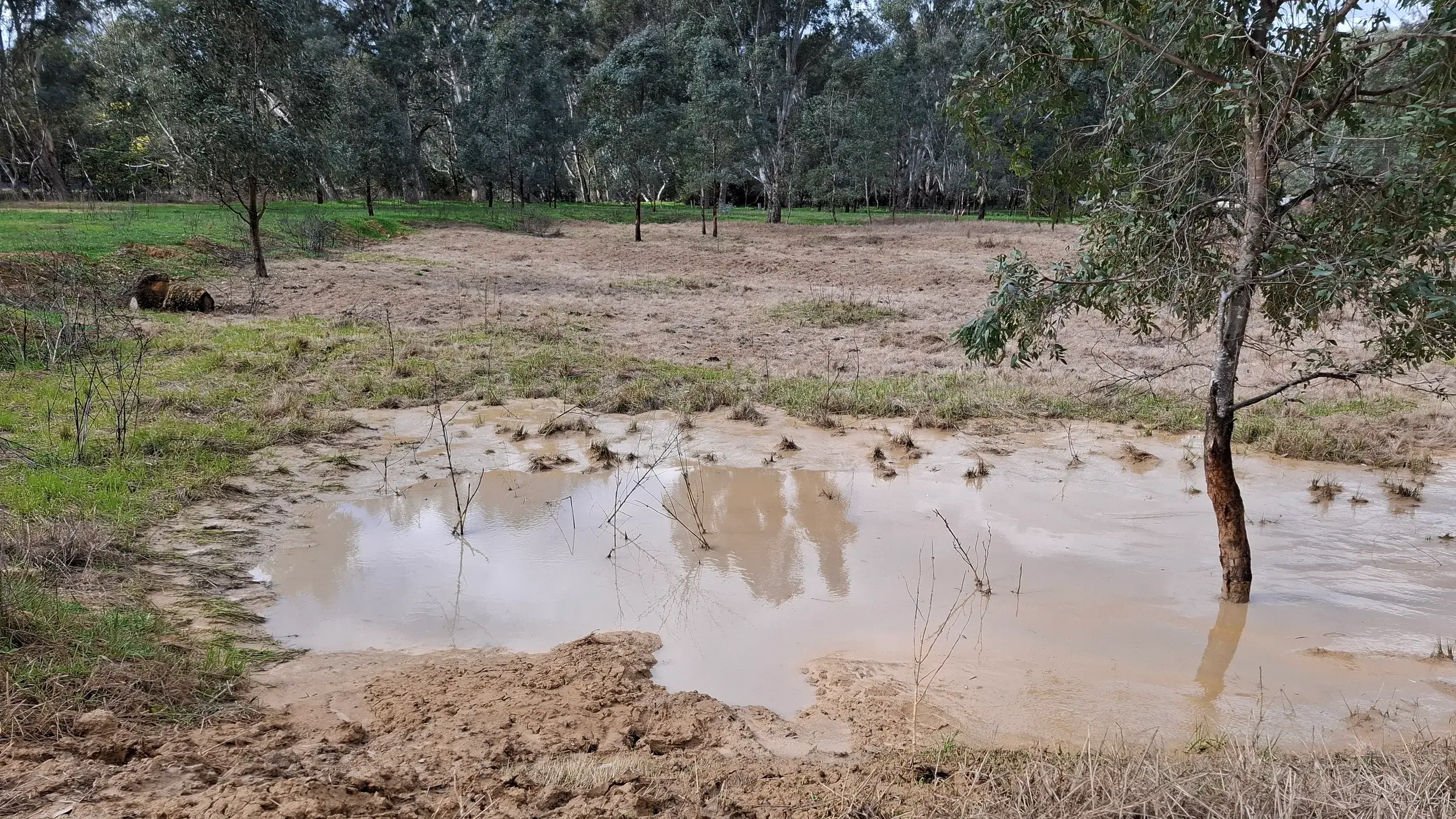 Sludge waste dumpers at Oxley fined $10k