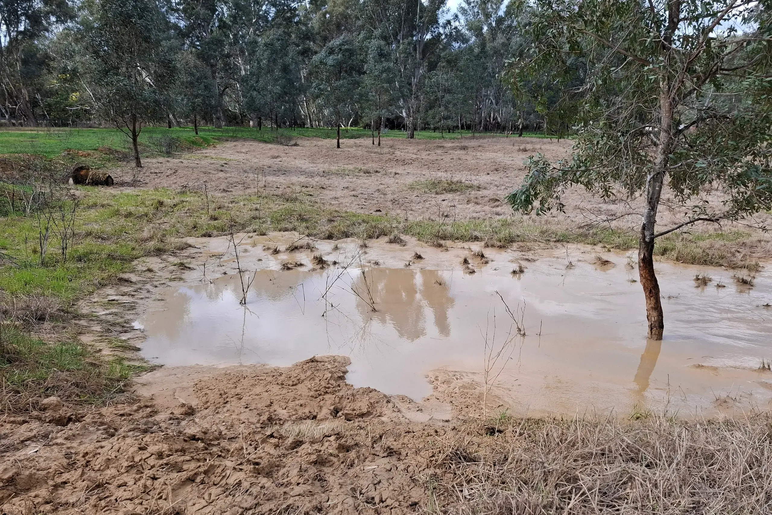 <p>WHAT A MESS: Drilling sludge dumped off Oxley Flats Road back in August ended with a $10,000 fine for the offending business.</p>\\n