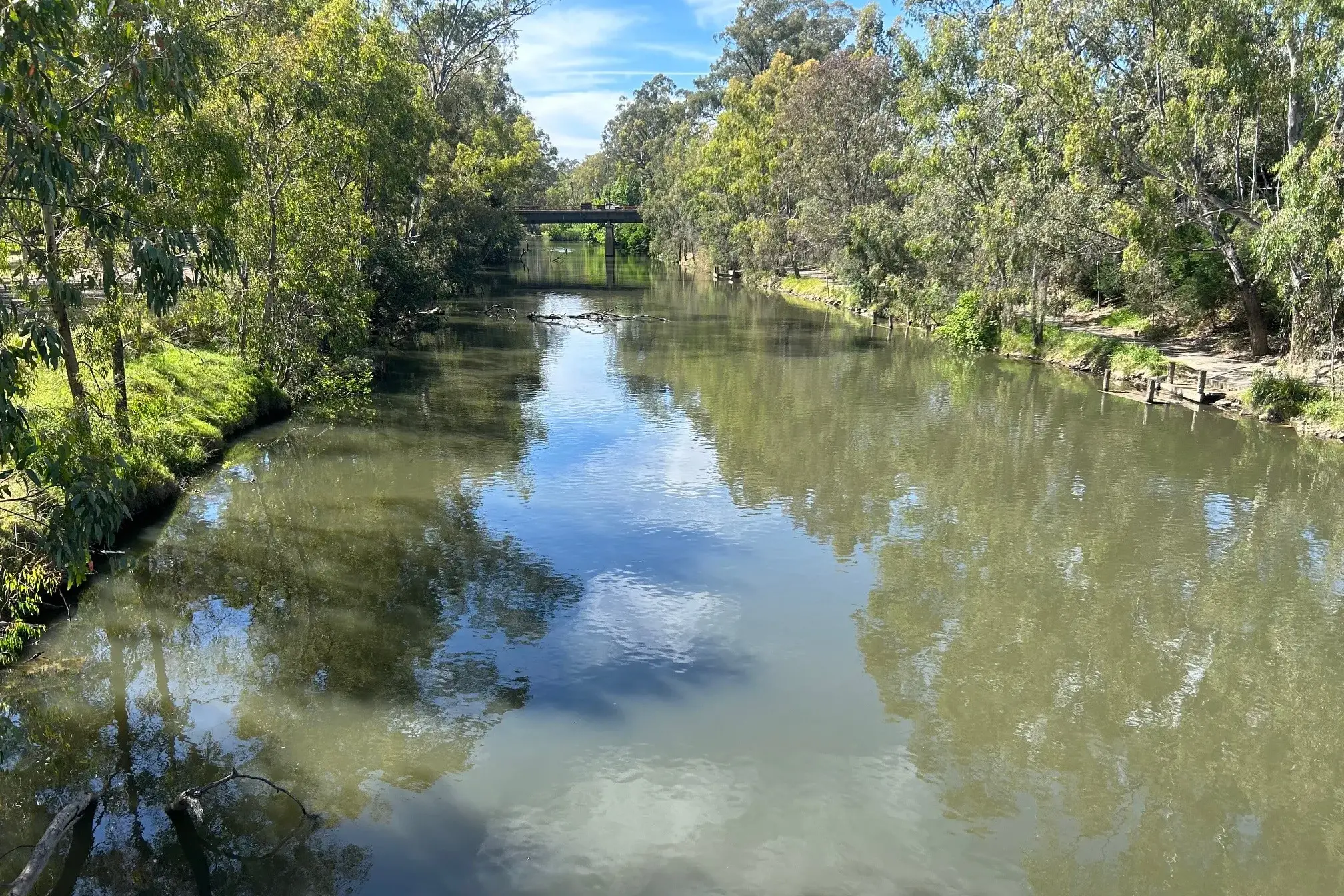 <p>RESTORATION: The North East Catchment Management Authority is working to remove the invasive Black Willow and other woody weeds along the Ovens River to create healthier habitats for native species. PHOTO: Lisa Farnsworth</p>\\n