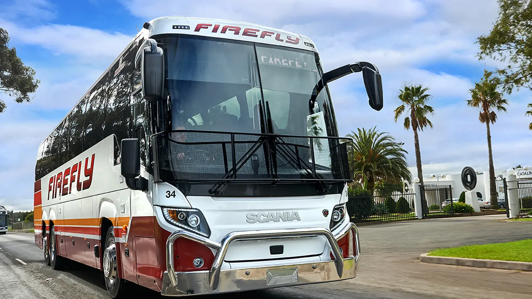 Firefly marks 60 years with fares from $6