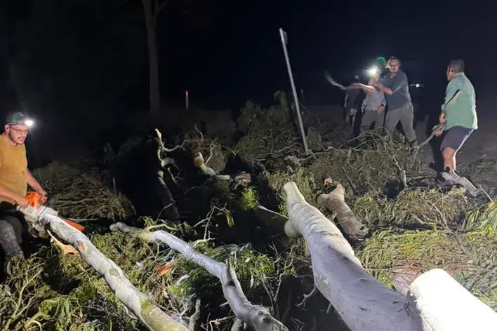 <p>TREES DOWN: Wind gusts of more than 100 kmh felled trees and limbs and closed roads at Laceby, Glenrowan and near Cheshunt on Friday, 5 December.</p>\\n