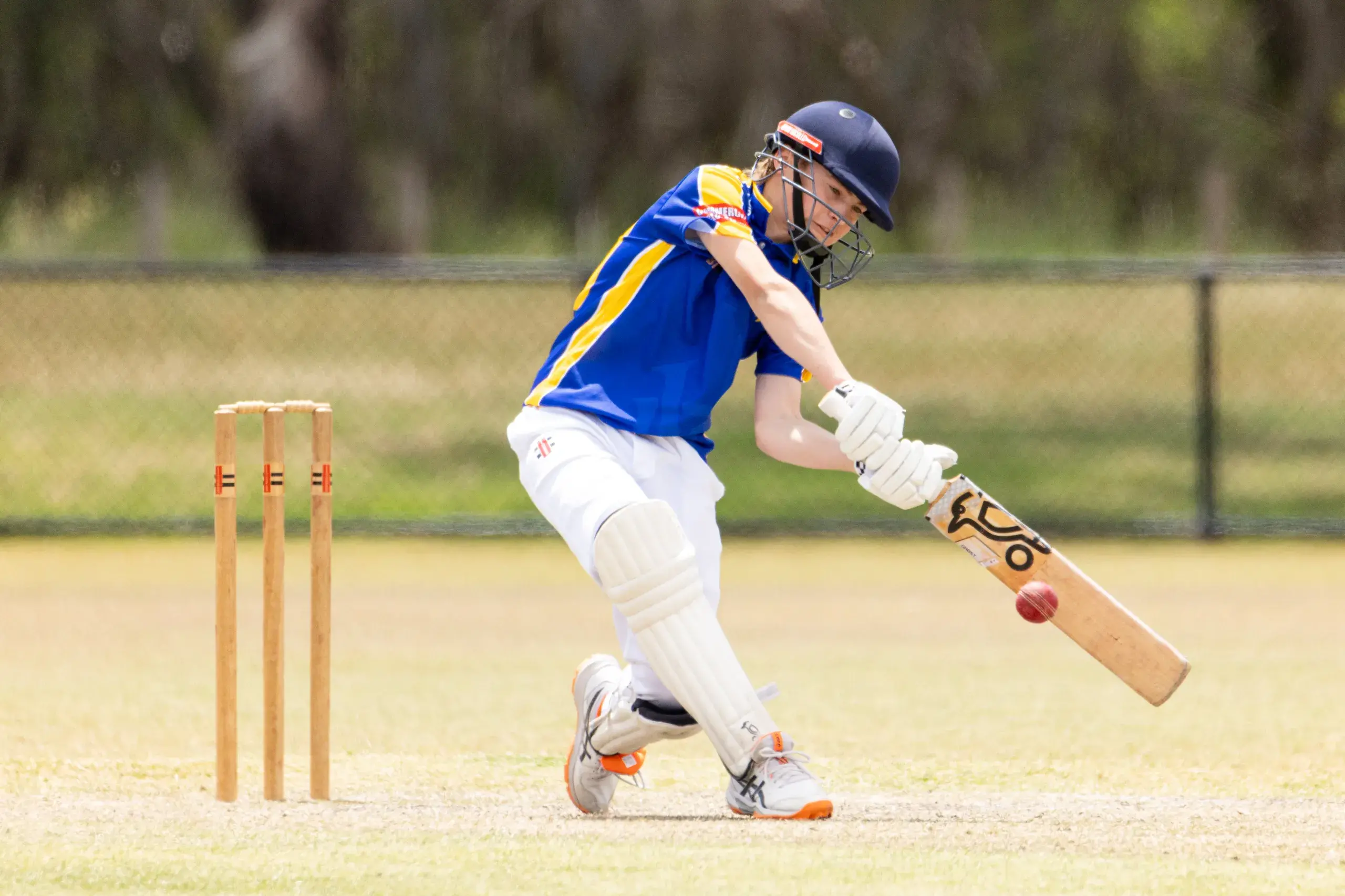 <p>REPRESENT: Bodi Jackson and WDCA representative cricketers head north to tackle the Murray Valley Cricket Association. PHOTO: Marc Bongers</p>\\n