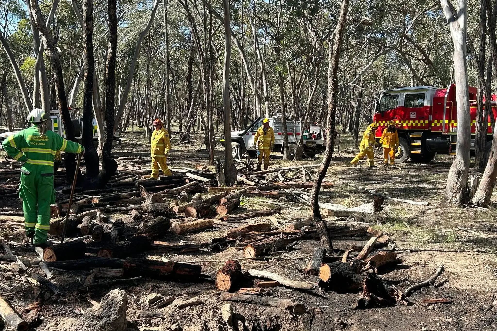 <p>UNDER CONTROL: FFMVic and CFA crews at the scene of an Eldorado bushfire on Sunday. PHOTO: Eldorado CFA</p>\\n