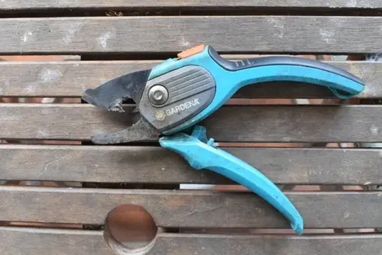 <p>SHOCKING EXAMPLE: Before you prune, take a moment to check that vegetation is clear of power and service lines or your secateurs could end up like this.</p>\\n