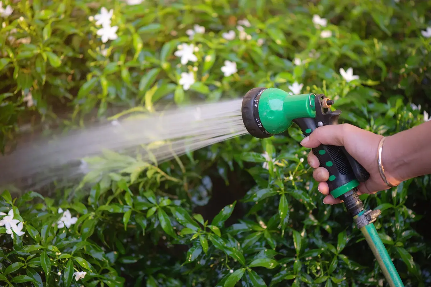 <p>WATER WISE: Always use a leak-free hose with a trigger nozzle when watering gardens and never hose down driveways or outside areas - always use a broom. PHOTO: AdobeStock sap 317286147</p>\\n
