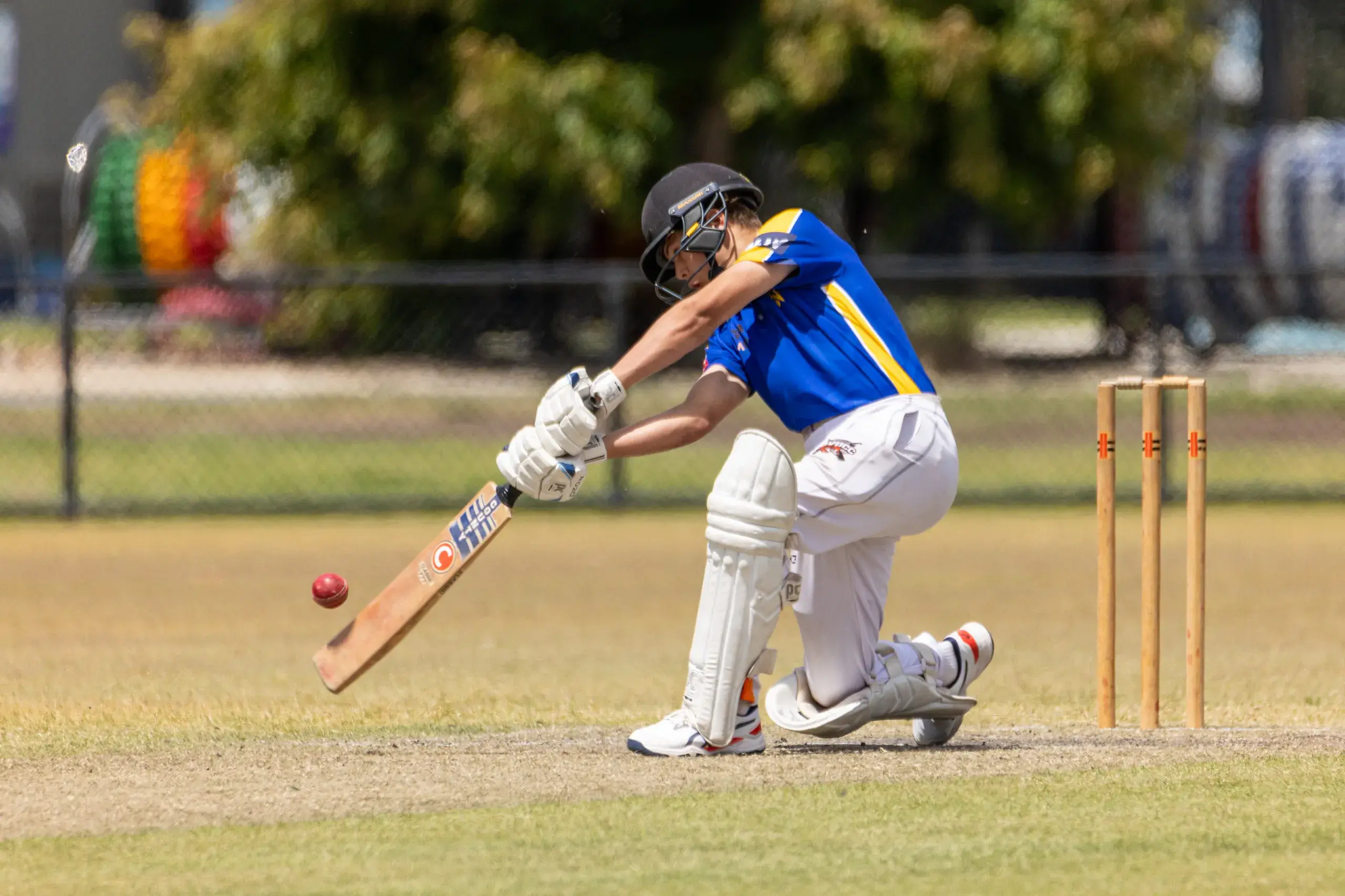 <p>ALL-ROUND EFFORT: Louis Sanderson took 1/16 from six overs and made 51 (ret) off 39 playing for WDCA under 14 against Murray Valley. PHOTO: Marc Bongers</p>\\n