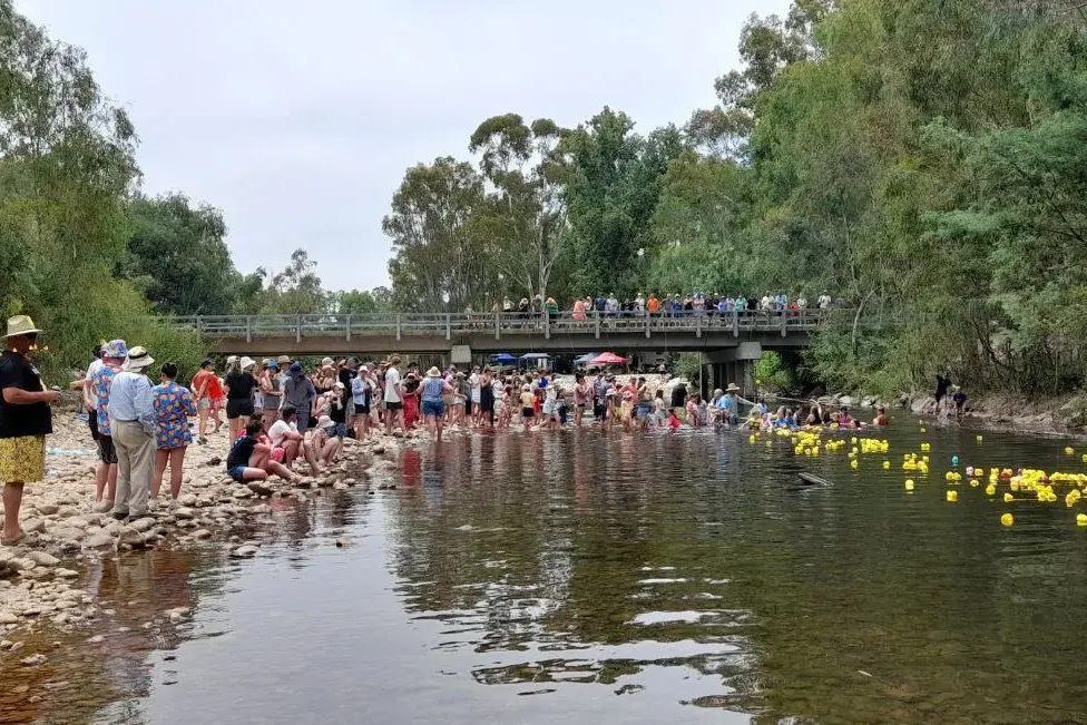 <p>RIVERSIDE ENTERTAINMENT: Last time 400 rubber ducks took to the water in the Rubber Duck Regatta at Gentle Annie Caravan Park and Camping Reserve. The next event will be held on Saturday, 24 January.</p>\\n