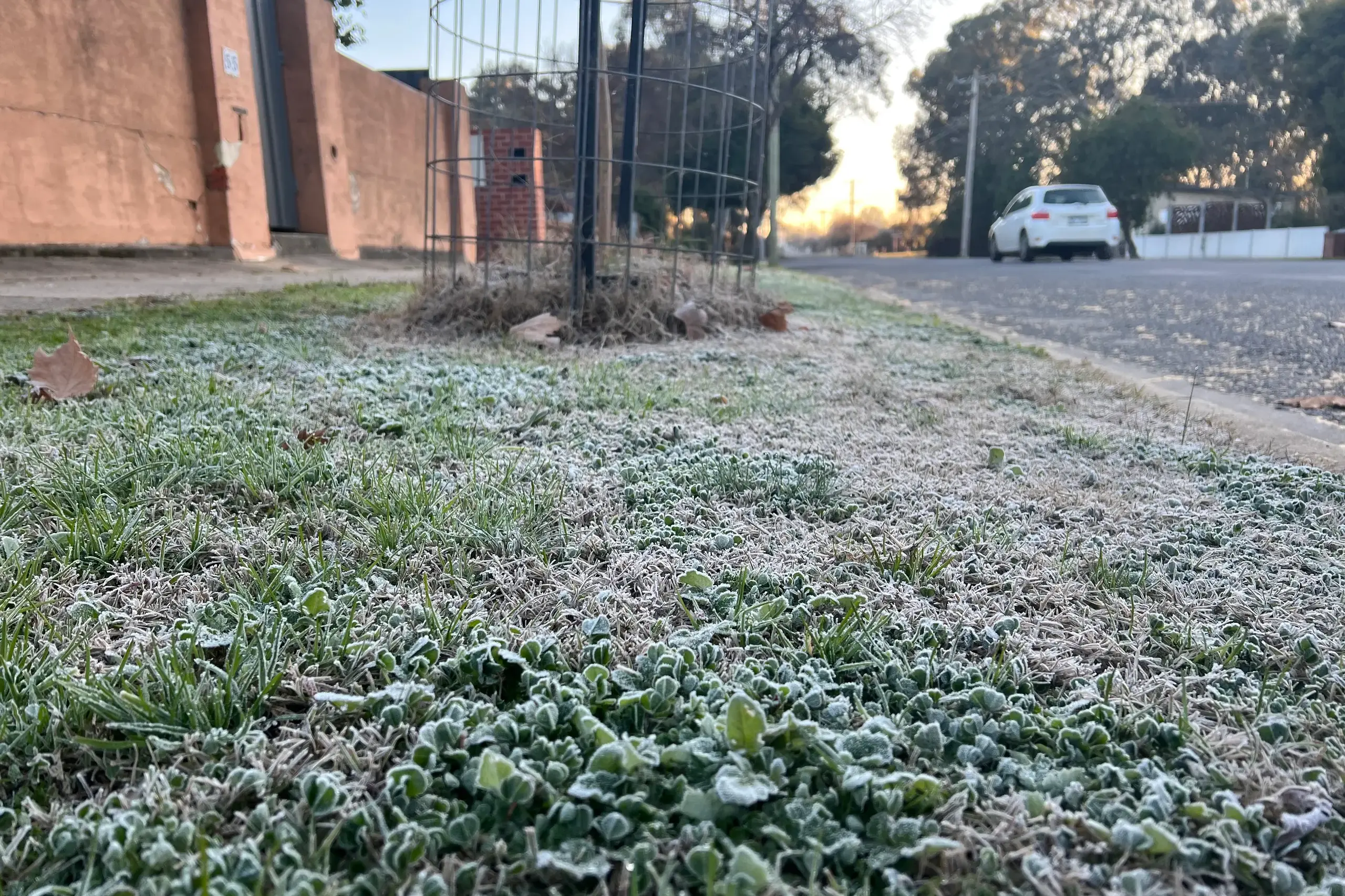 <p>FROZEN: Wangaratta\\'s coldest morning for 2025 was minus 4.7 degrees on 5 June.</p>\\n