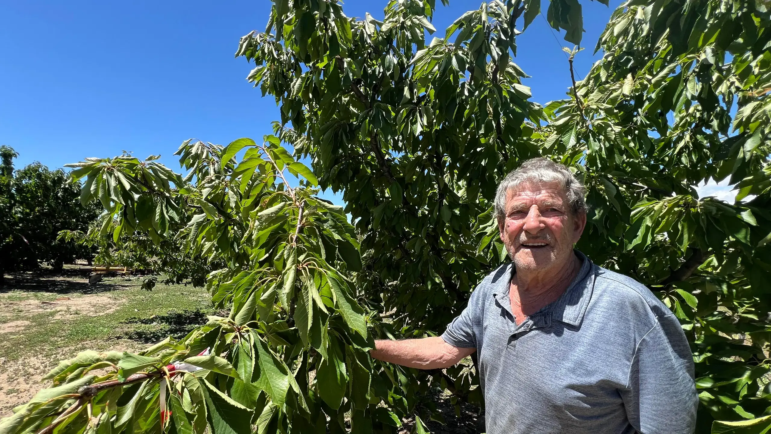 Still producing the goods, after more than 50 years