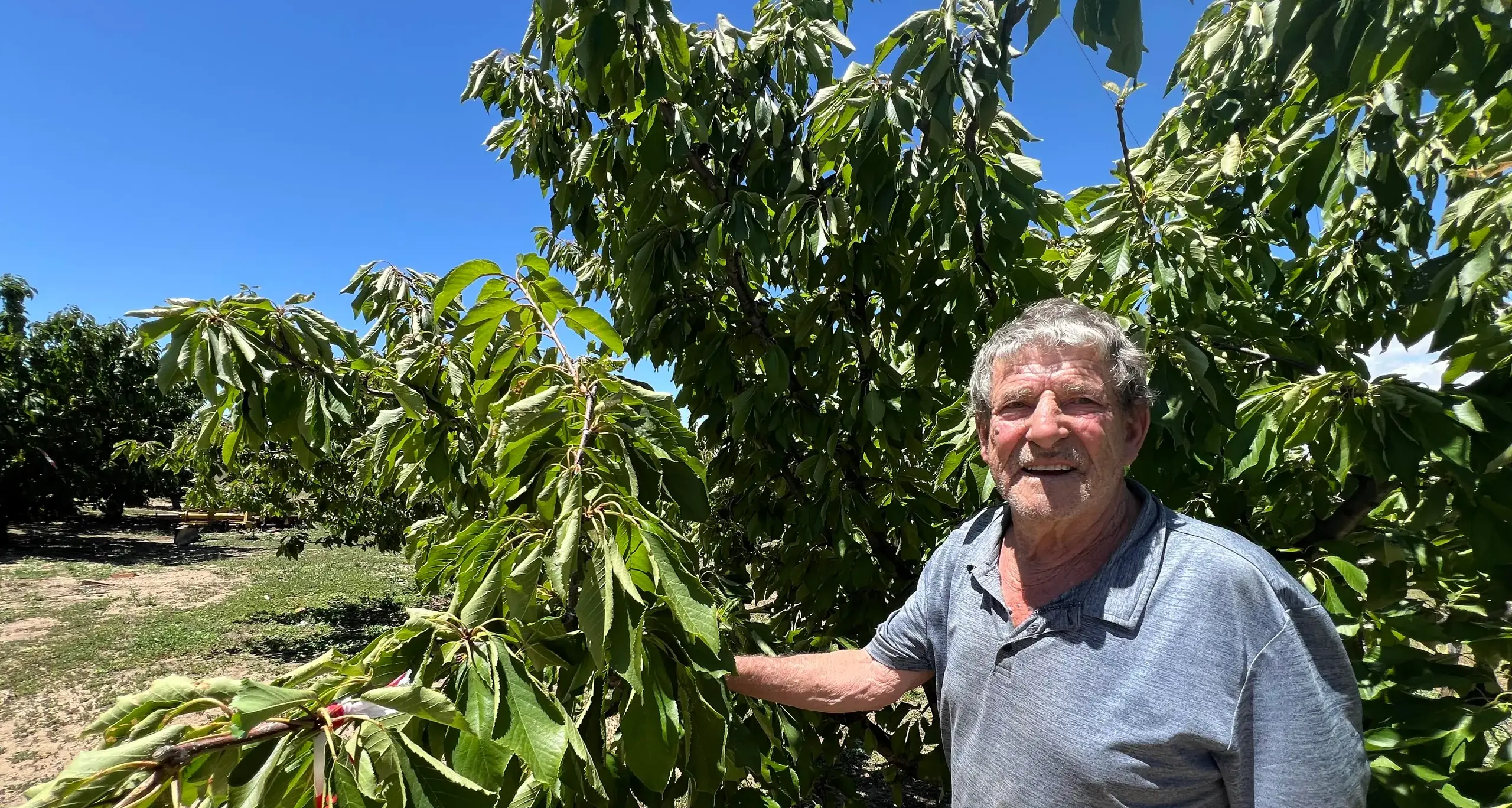 Still producing the goods, after more than 50 years