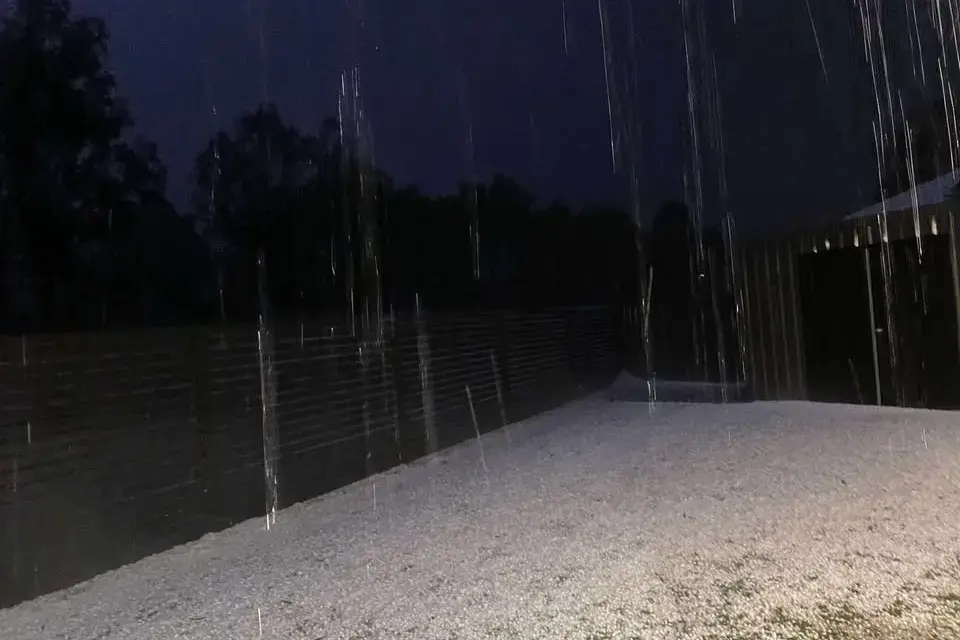 <p>WHITE CHRISTMAS: Wangaratta properties were blanketed with hail in shock storm on 11 December, according to the Bureau of Meteorology\\u2019s Wangaratta Airport weather station, wind gusts peaked at 61km/h with 2.2mm of rain throughout the night.</p>\\n