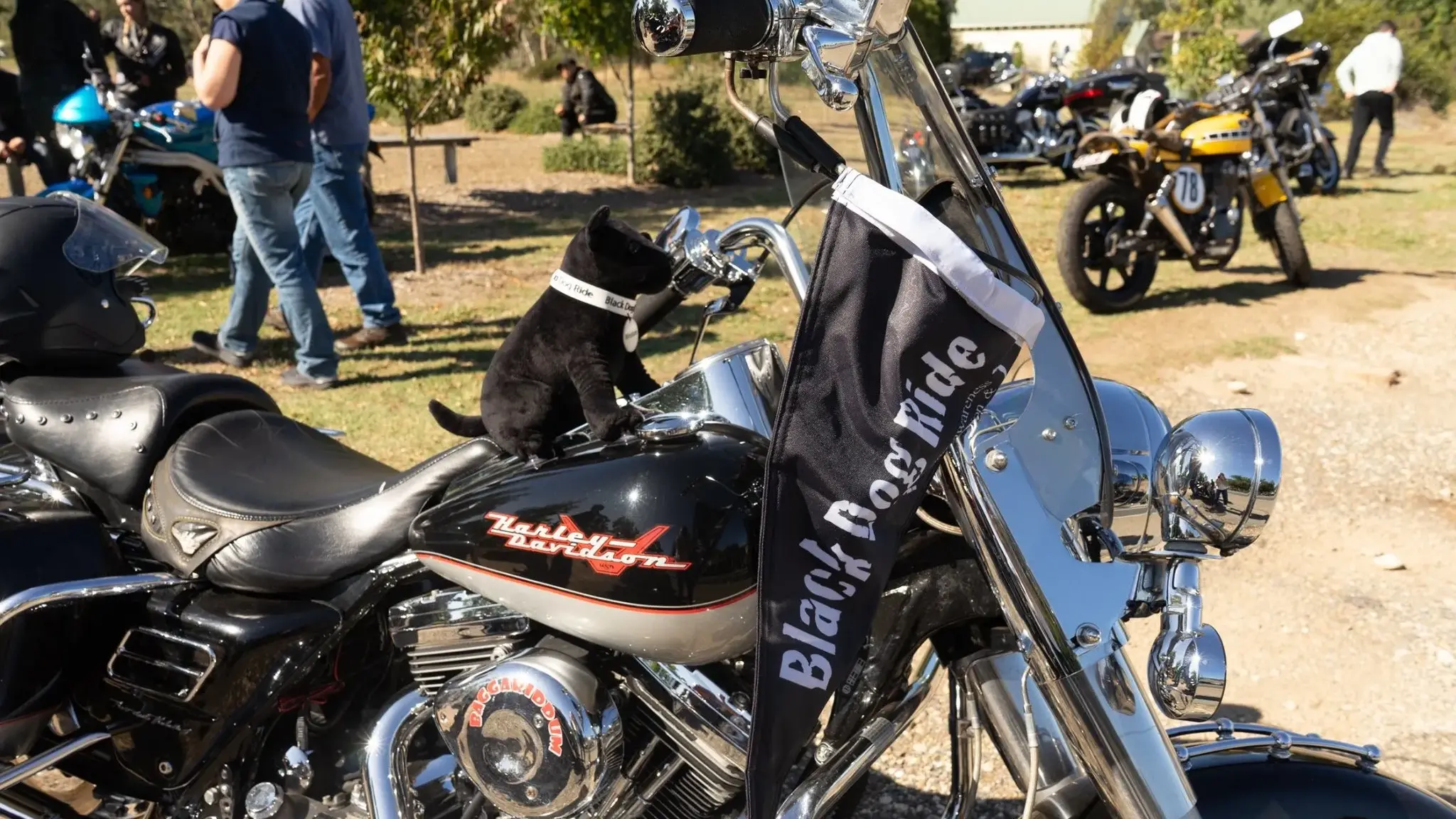 Black Dog Ride is calling on Wangaratta to join or support the 17th annual ride in March