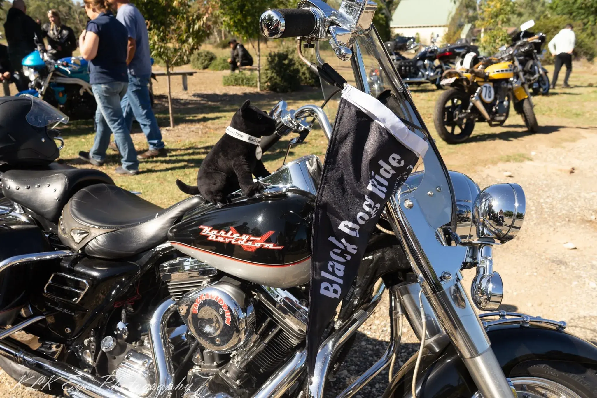 <p>JOIN IN: The Wangaratta community is being encouraged to get behind the local arm of Black Dog Ride by registering to ride in the 2026 One Dayer.</p>\\n