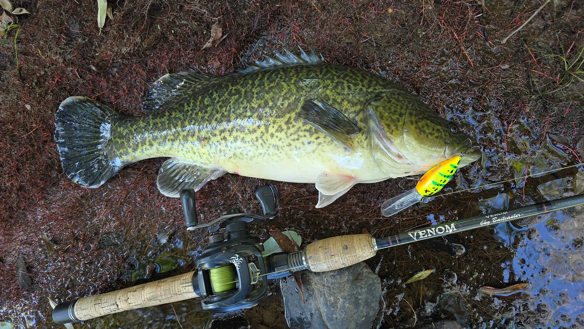 Fishing still a bit hit and miss