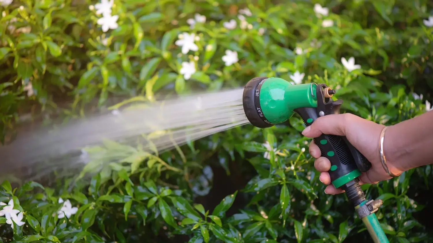 Dry weather, population growth impacts water use