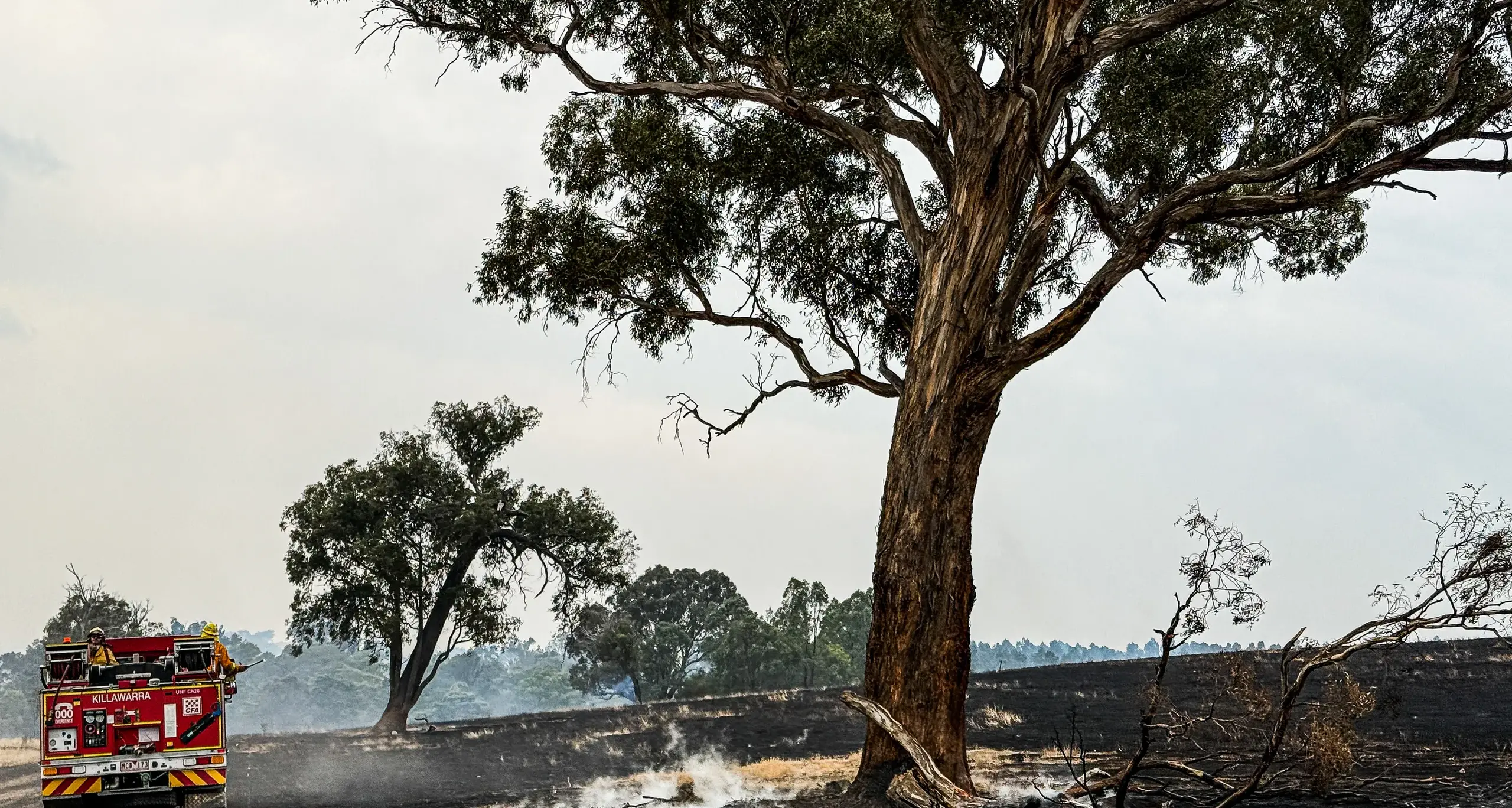 Resources scaled back in local response to Longwood fire