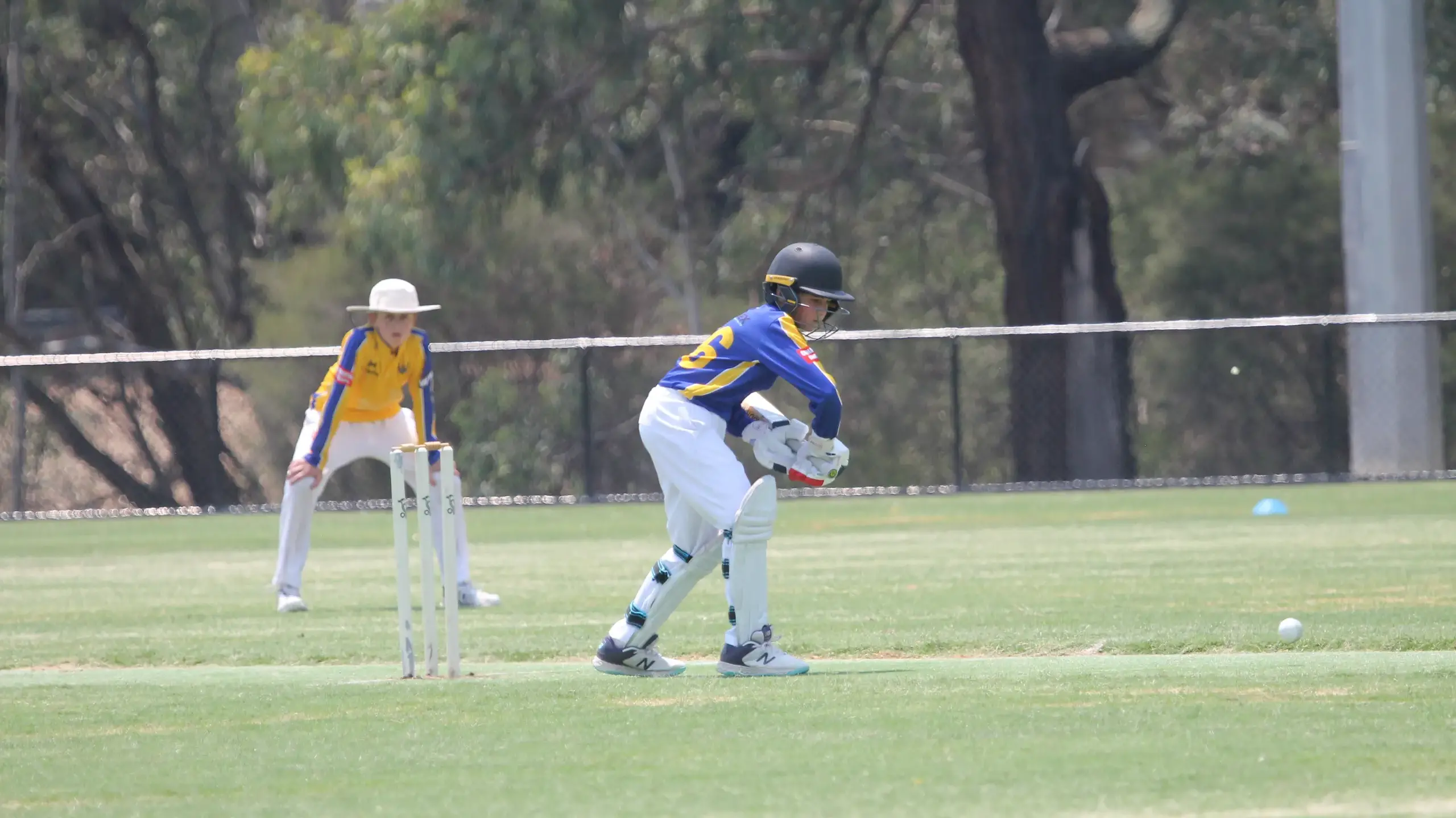 Country Week finalists set