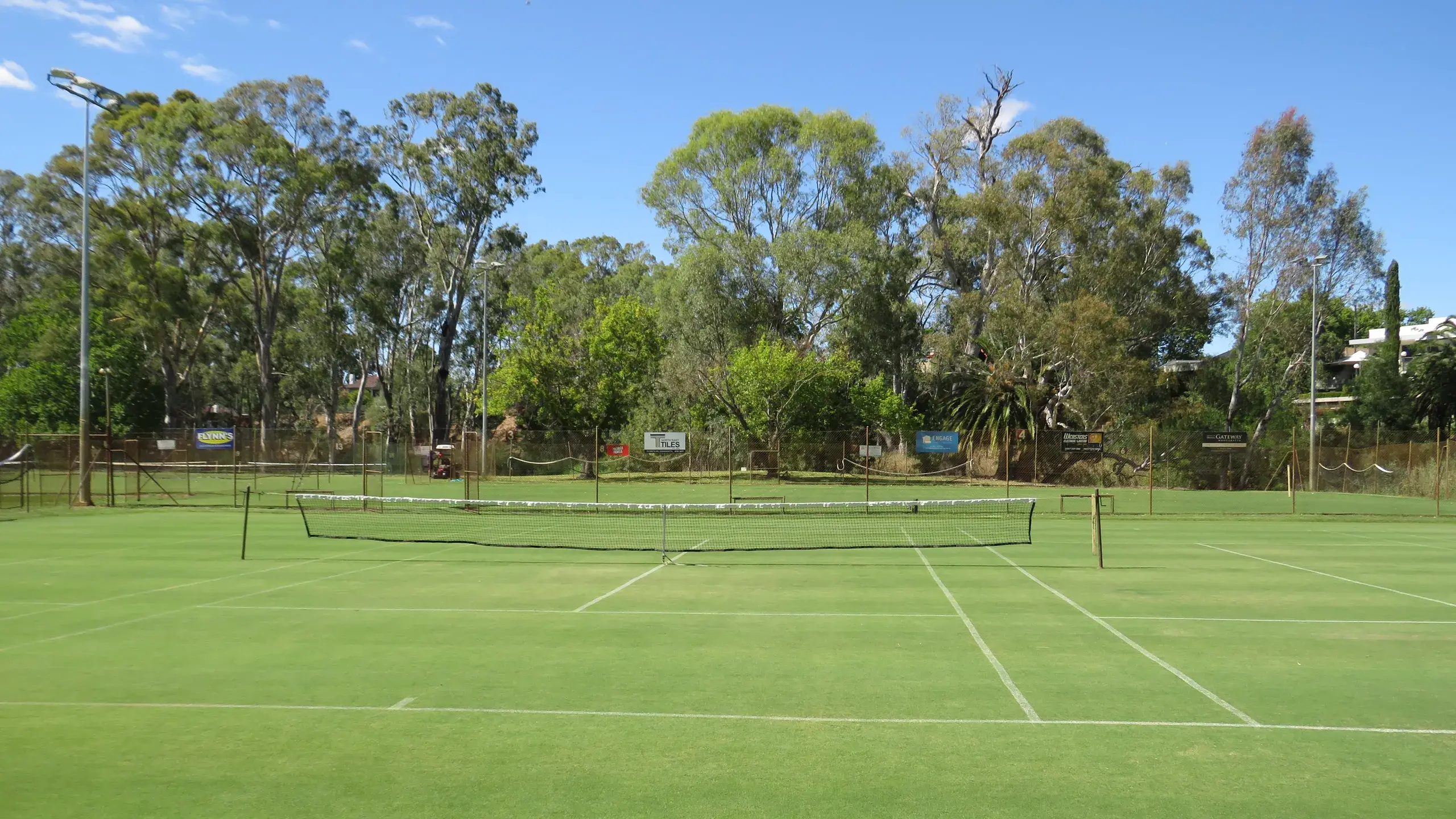 Celebrating a century of tennis