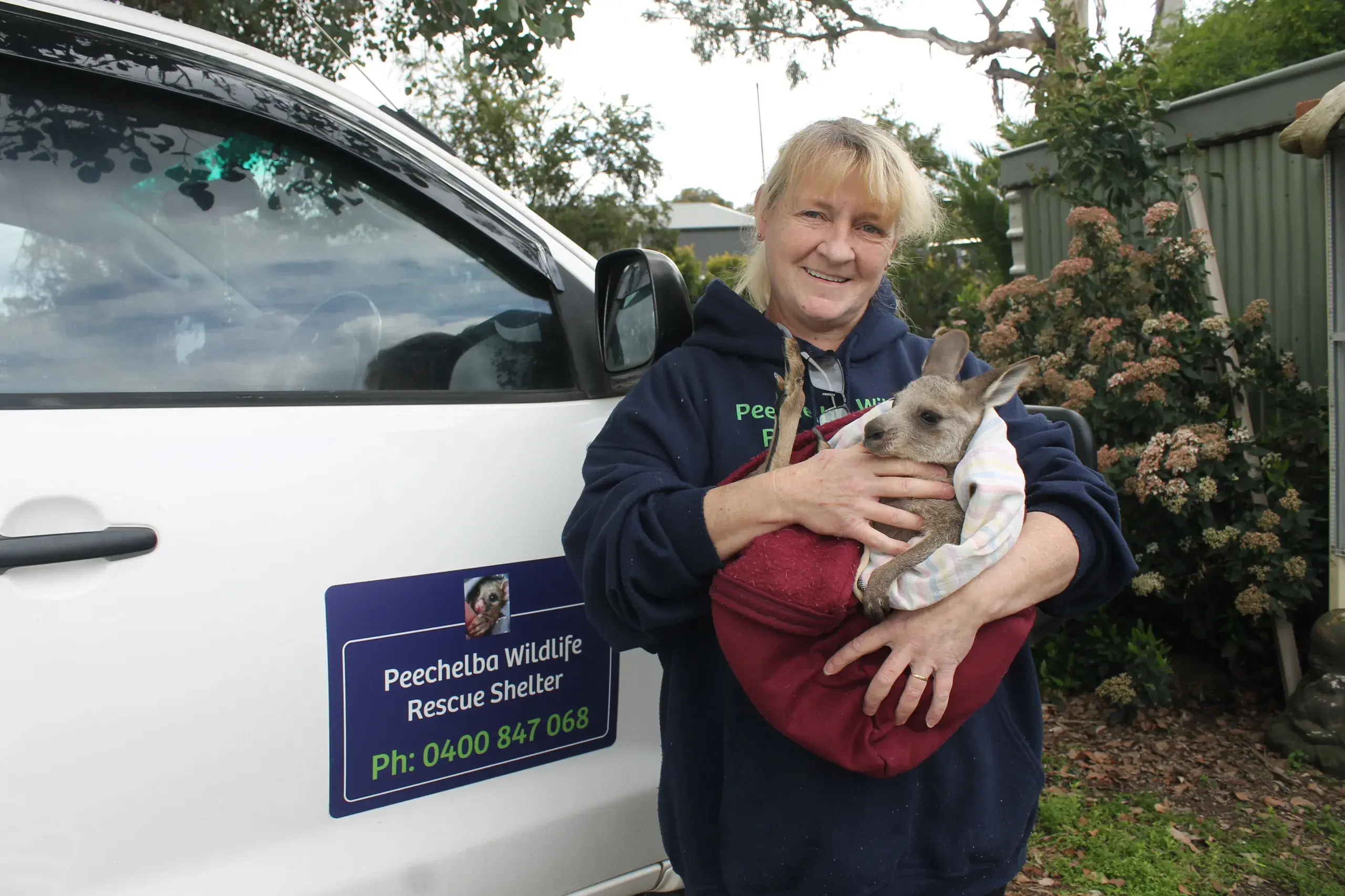 <p>SHELTER: For Tania Leahy at Peechelba Wildlife Rescue, this fire season has been one of heartbreak, urgency and extraordinary community kindness. PHOTO: Jordan Duursma </p>\\n