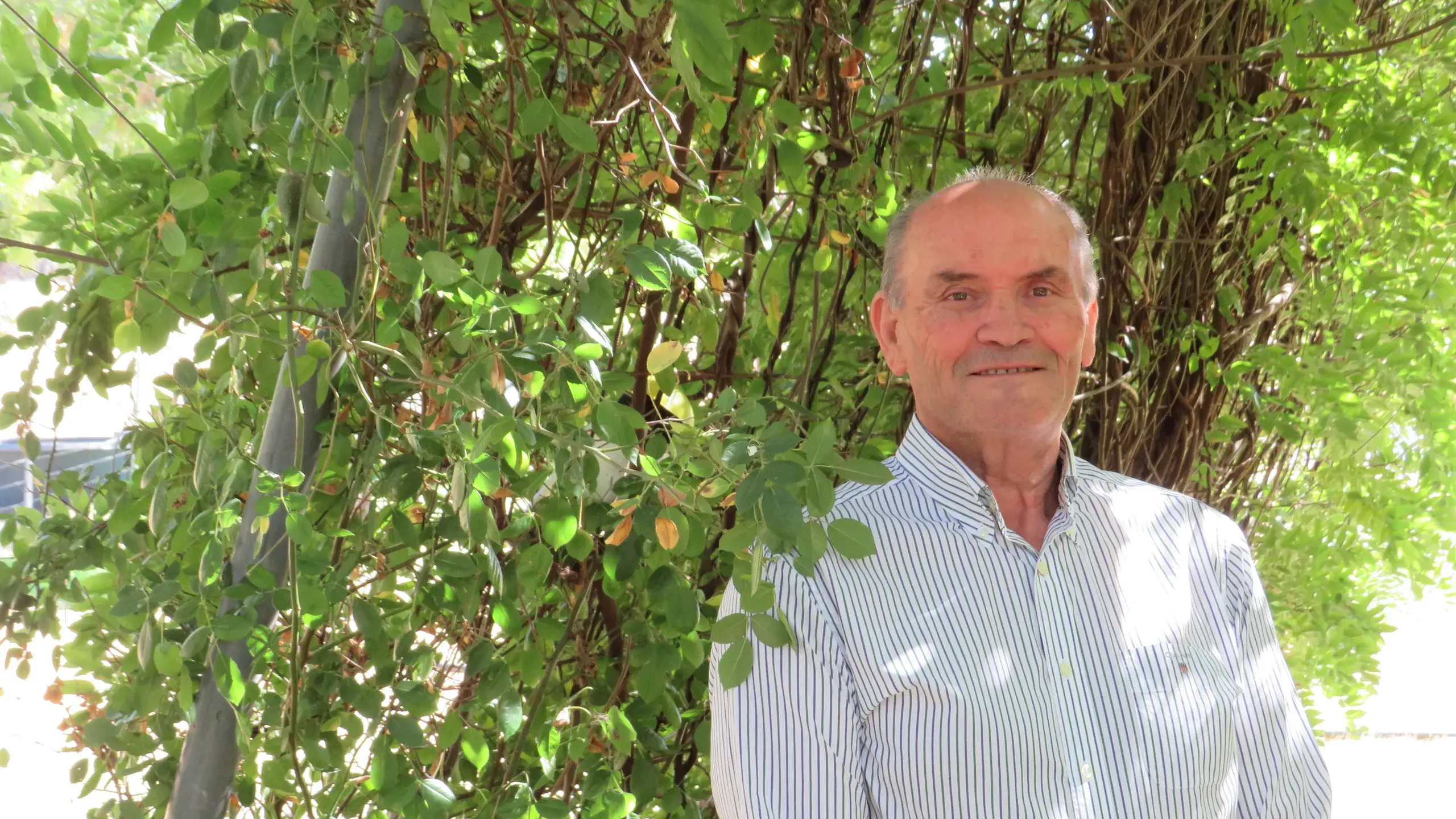 Hospital 'problem-solver' recognised for service to nursing