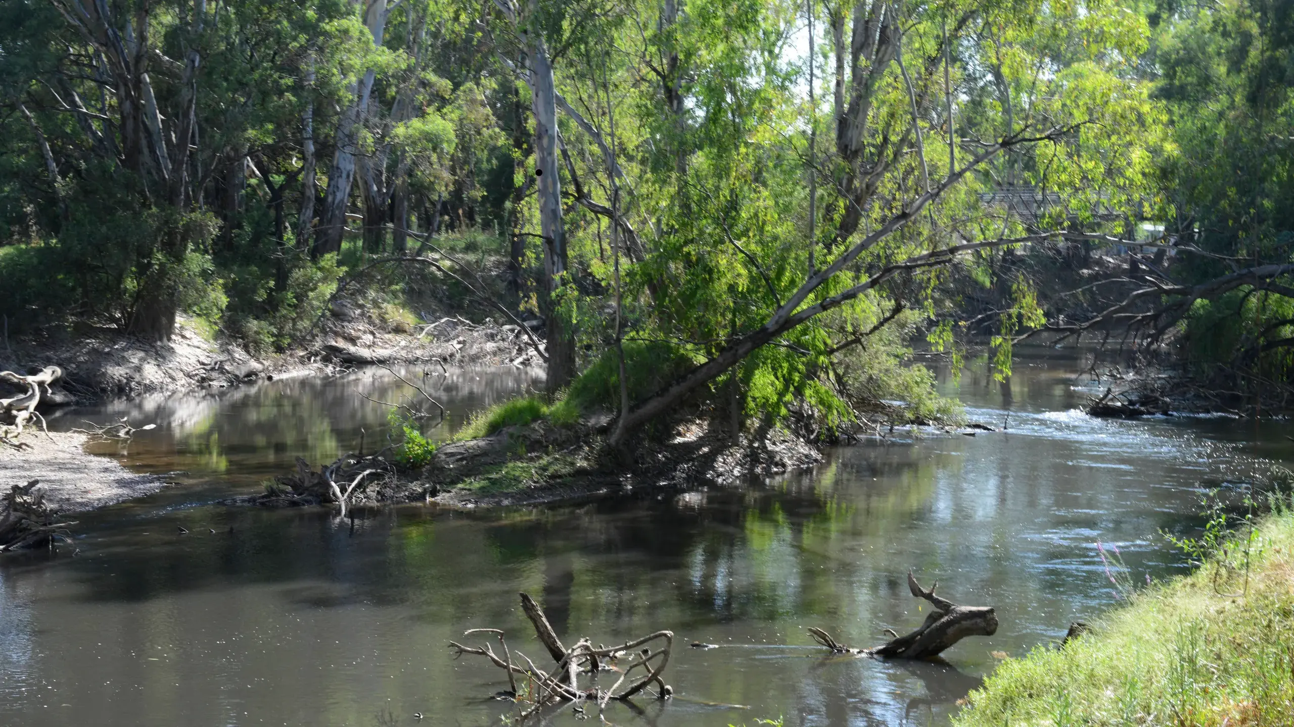Wangaratta’s 40-degree streak continues as warnings persist