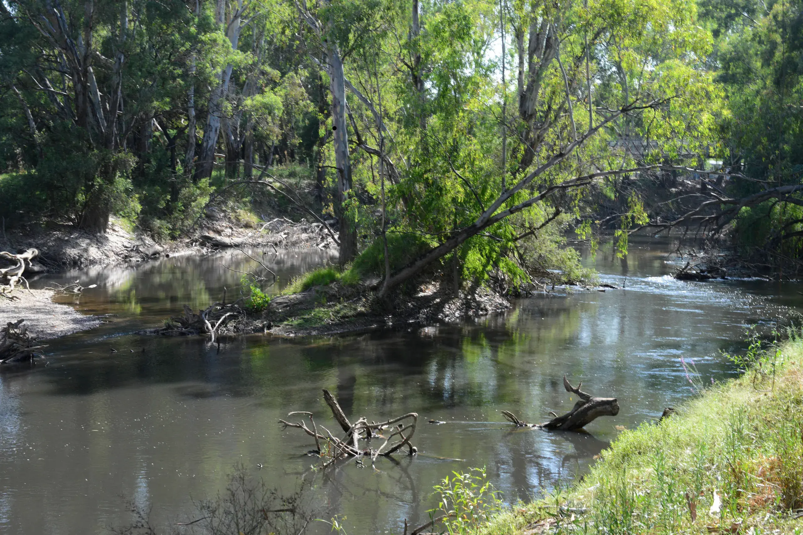<p>STAY COOL: Wangaratta continues to feel the effect of Victoria\\'s worst heatwave since Black Saturday in 2009.</p>\\n