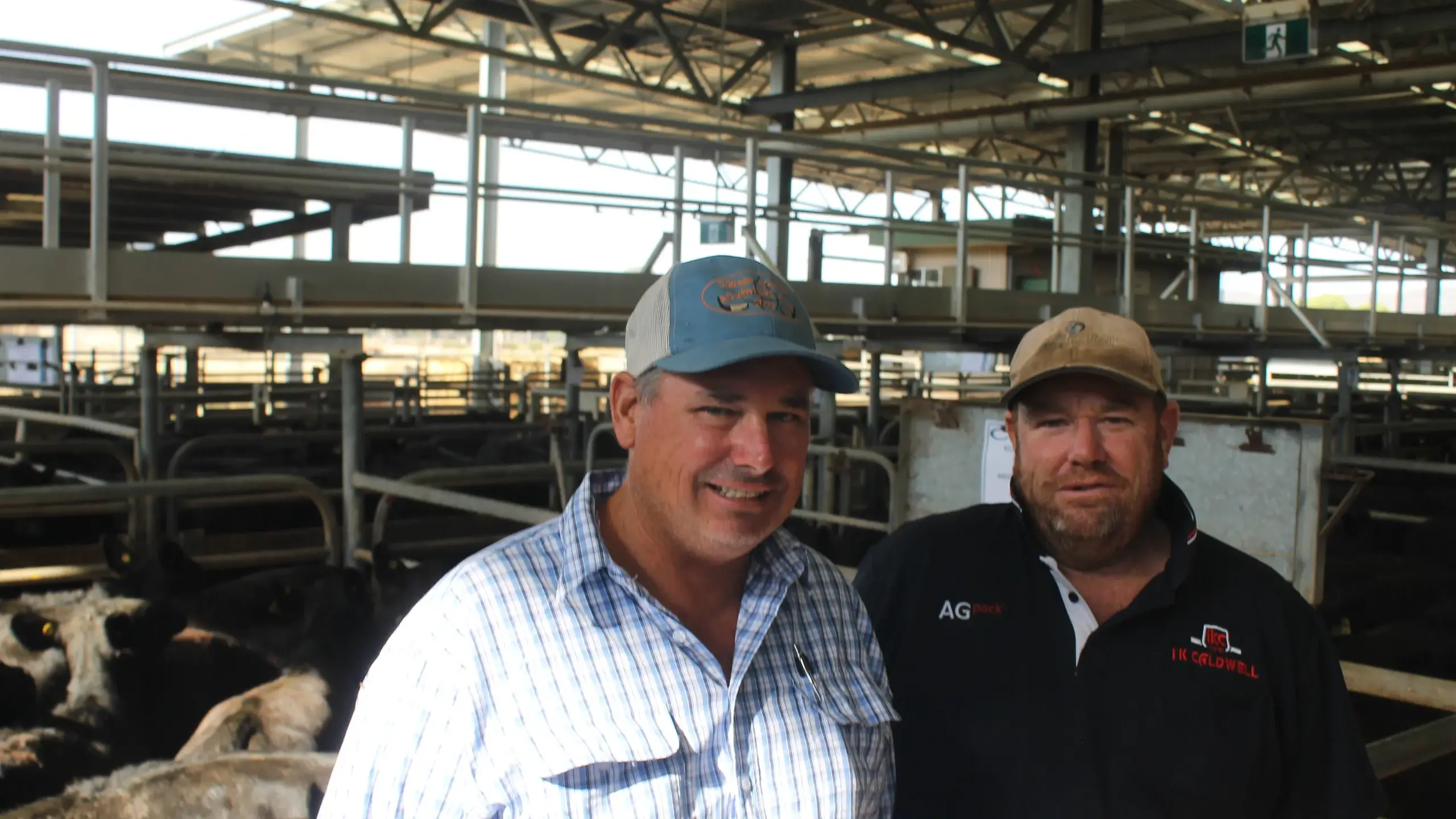 Demand stays strong for top-of-the-line local cattle