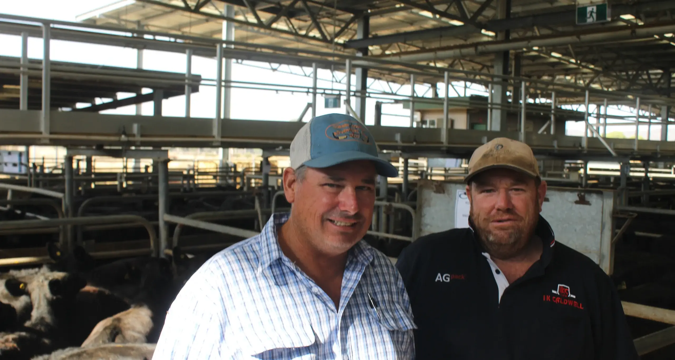 Demand stays strong for top-of-the-line local cattle