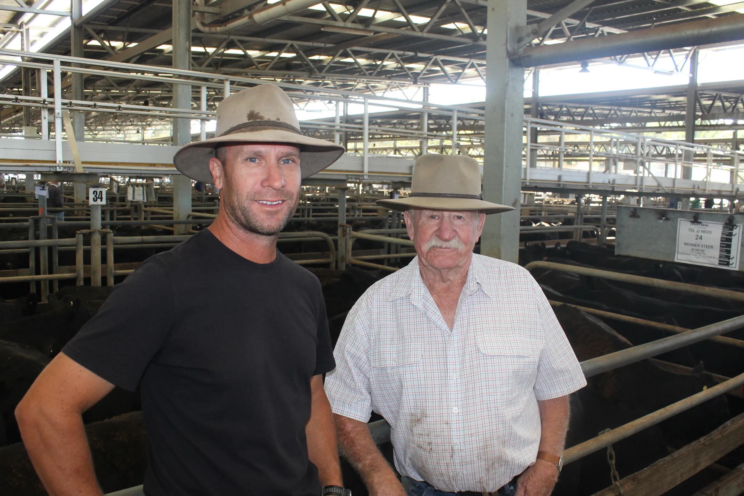 Strong results continued in Wednesday's blue ribbon sale