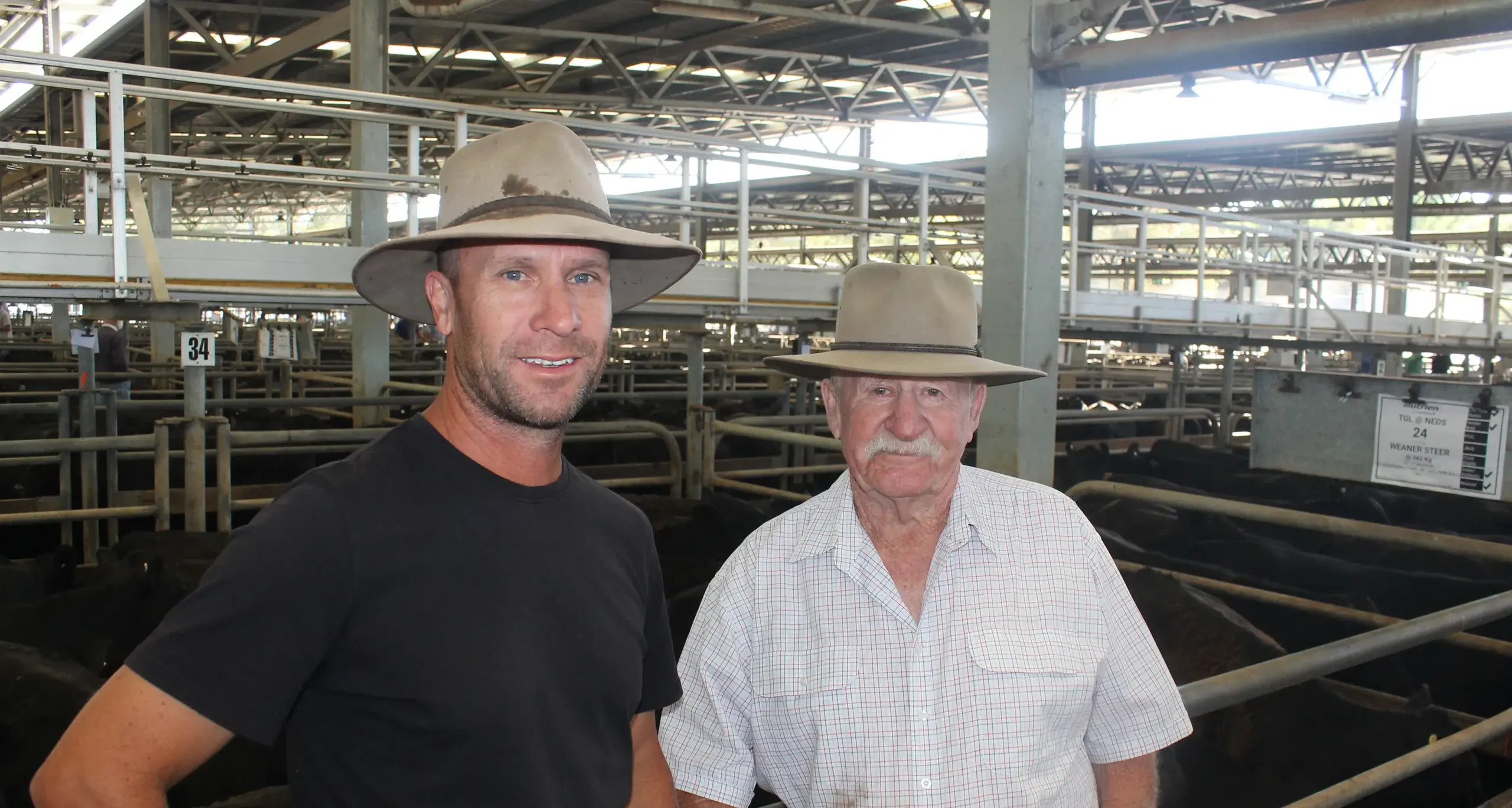 Strong results continued in Wednesday's blue ribbon sale