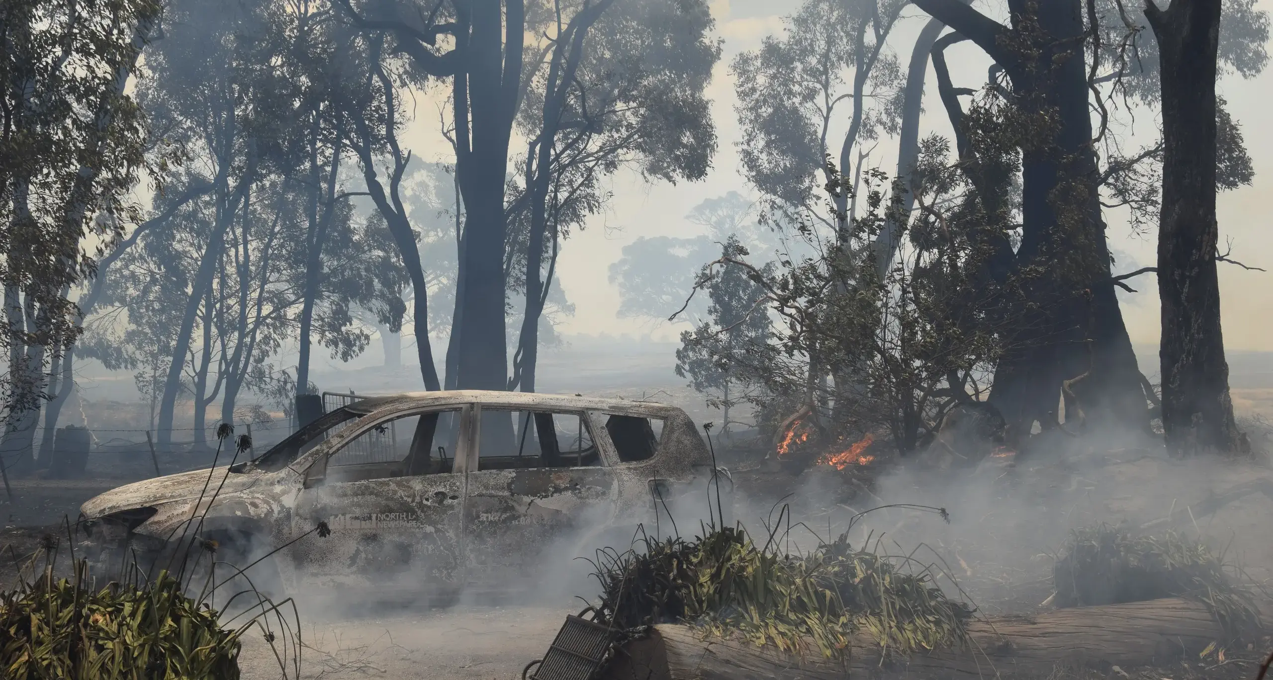 Fire-affected families must not be left behind: McCurdy