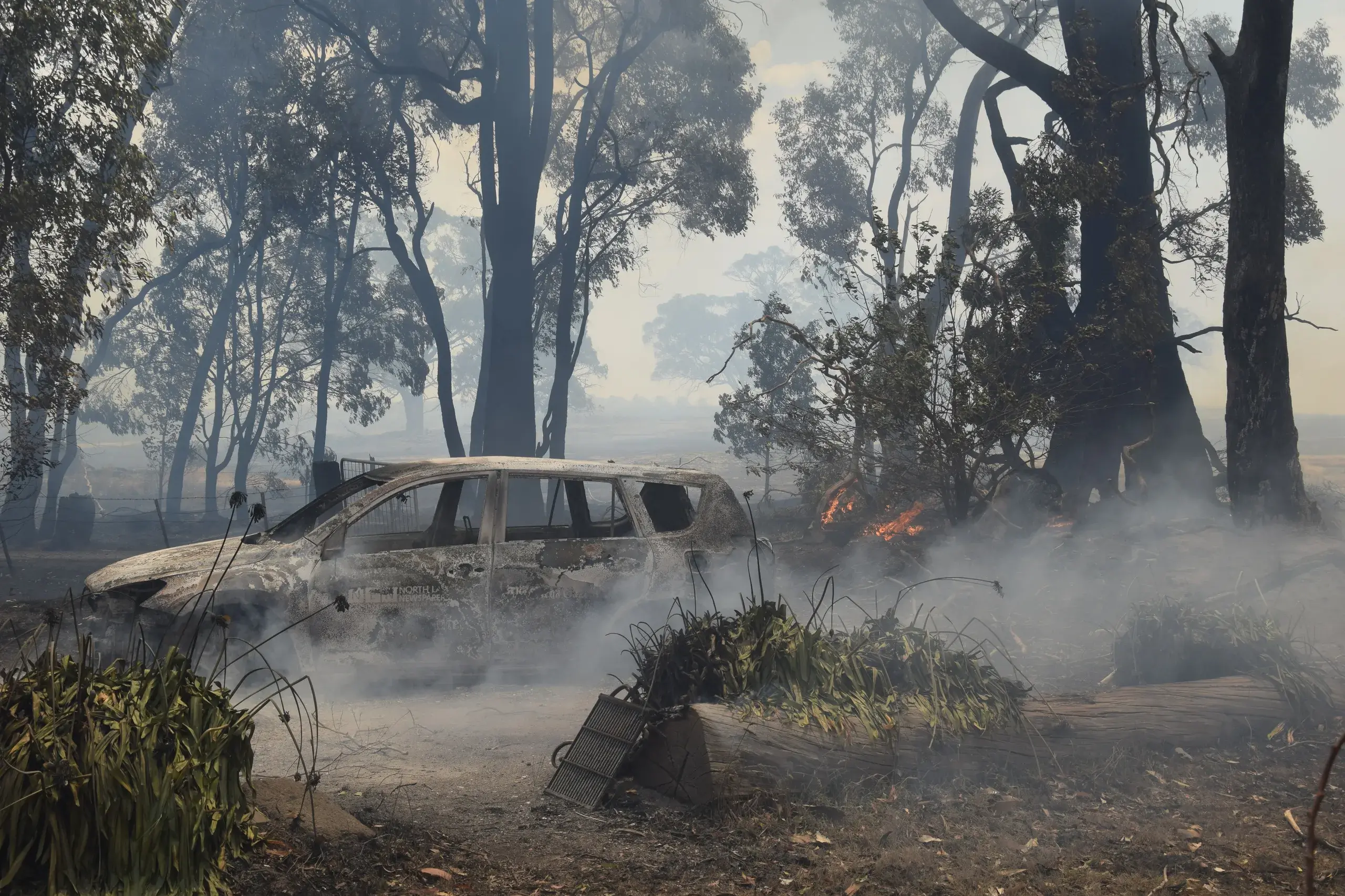 <p>FIRE AFFECTED: MP calls for victims of bushfires that took place before the major fire event to still have access to disaster support. PHOTO: Andy Wilson</p>\\n