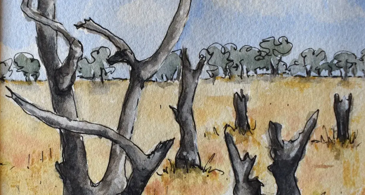 Brook and Fuller unearth local inspirations in Grounded