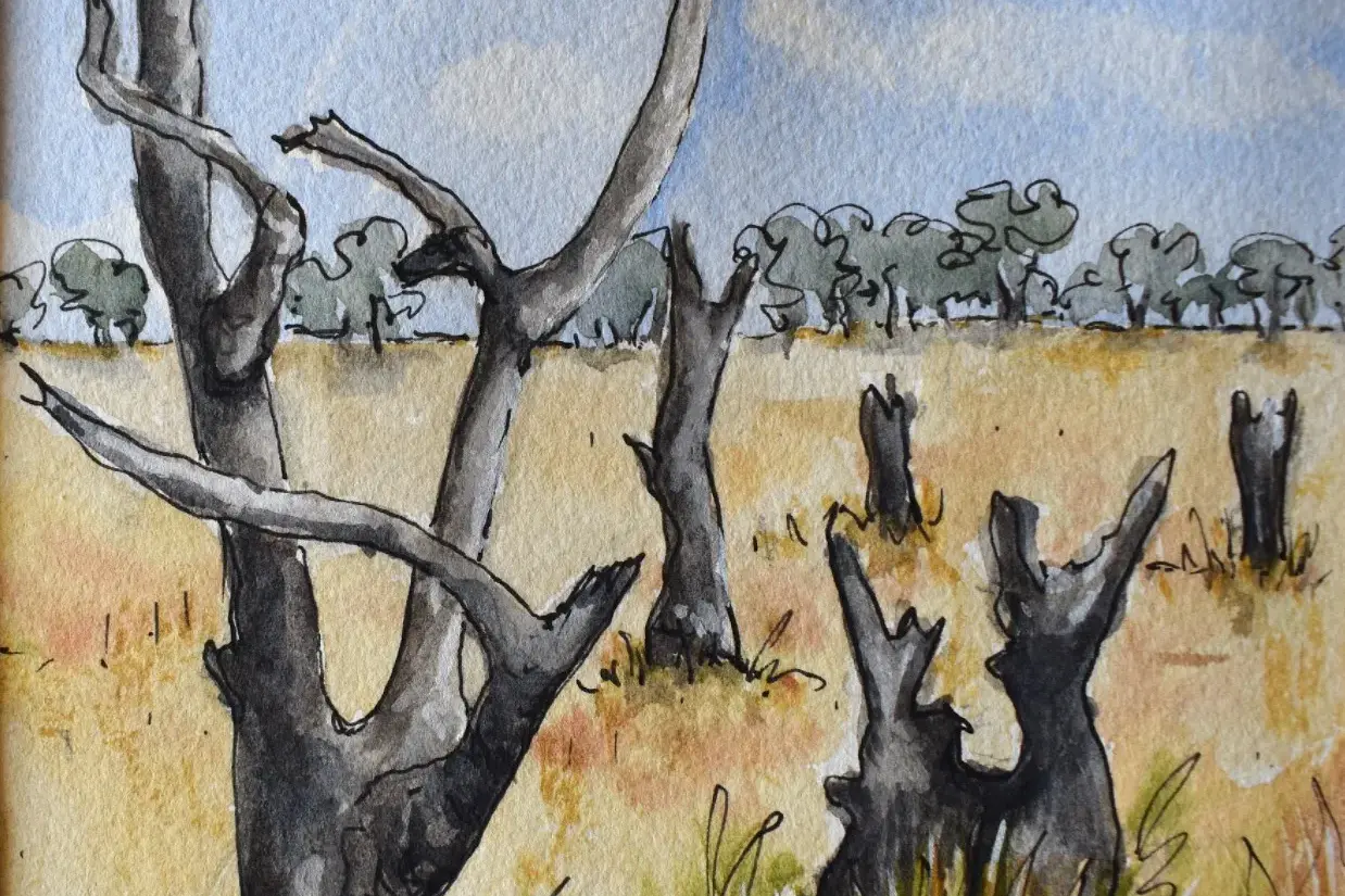 <p>BEAUTIFULLY OBSERVED: Artwork by Jana Brook, who brings a seasoned eye to her depictions of light and the local landscape in Grounded.</p>\\n