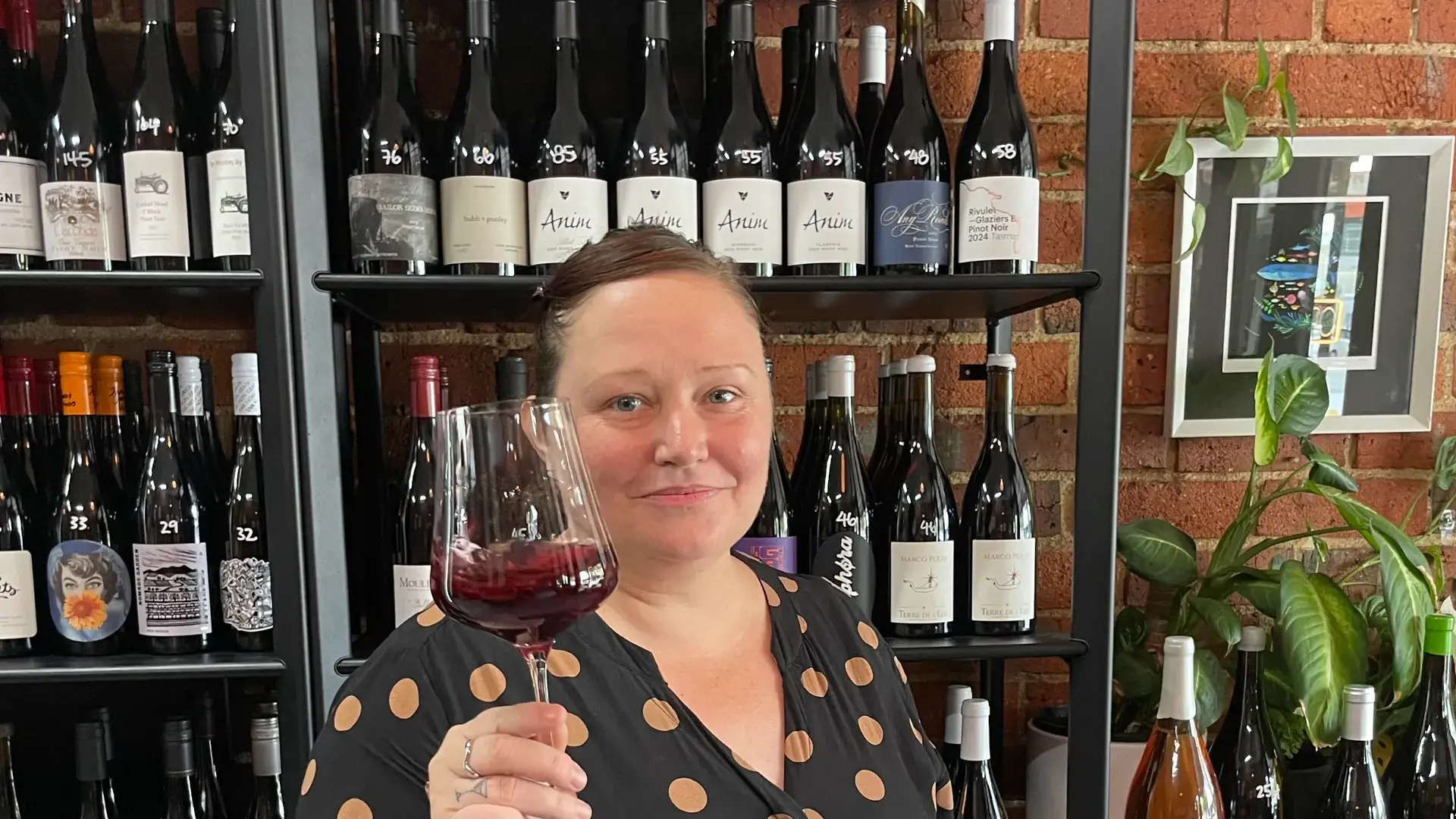 VIN et al - Good wine, thoughtfully chosen