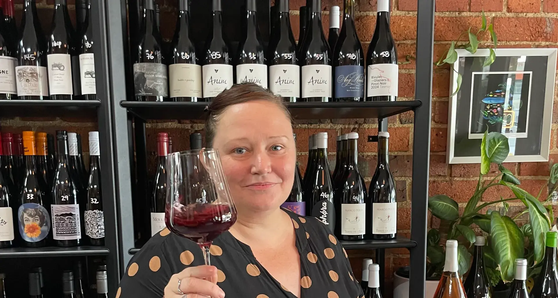 VIN et al - Good wine, thoughtfully chosen