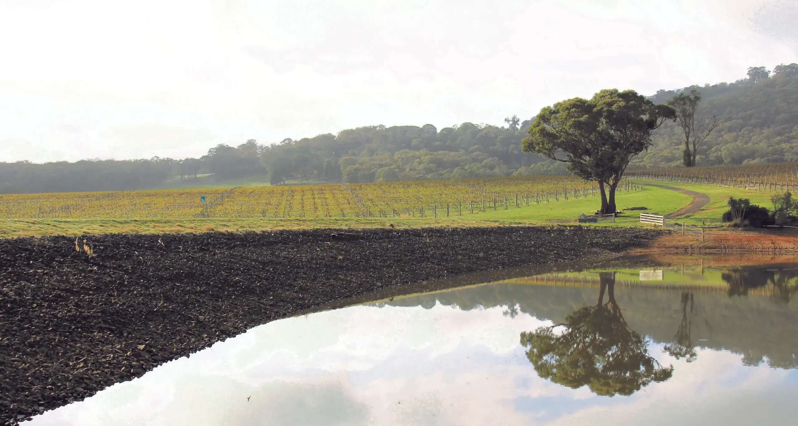 Our hot, dry summer rolls on in region