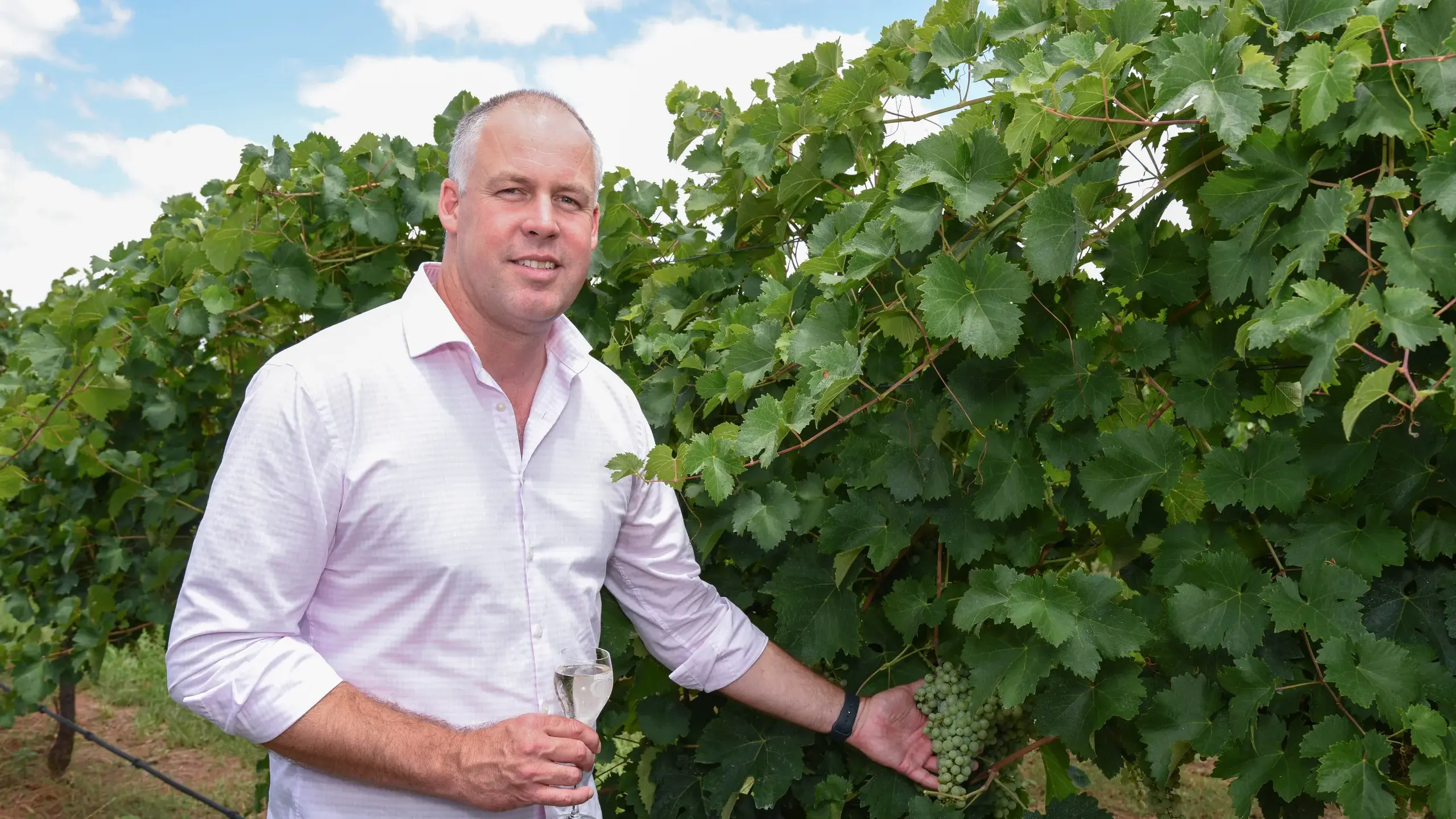 The heat is on, but harvest looking good in King Valley