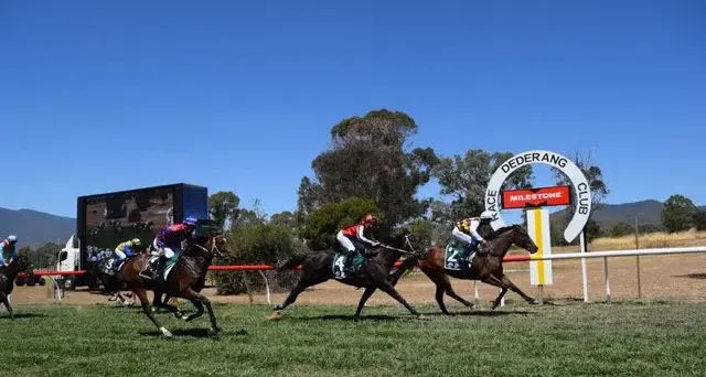 The Cuban finds his niche at the picnics