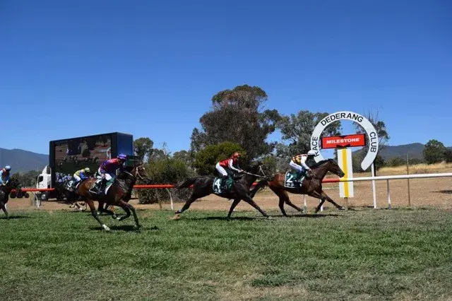 <p>MR CONSISTENT: Locally owned and trained galloper The Cuban took out the iconic Dederang Cup on Saturday.</p>\\n