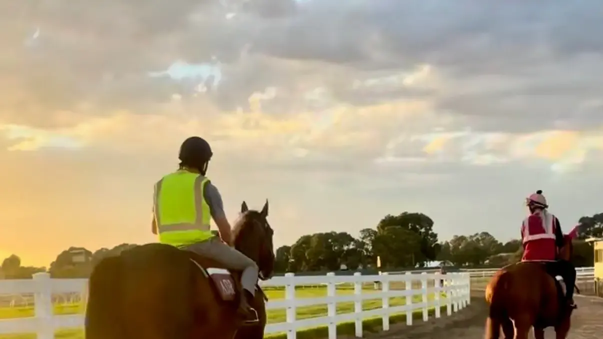 Sunrise training ahead of Wang Cup festivities