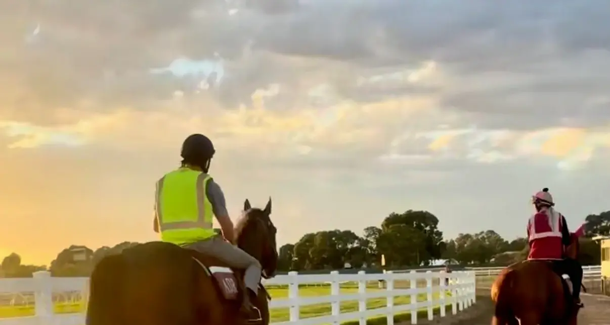 Sunrise training ahead of Wang Cup festivities